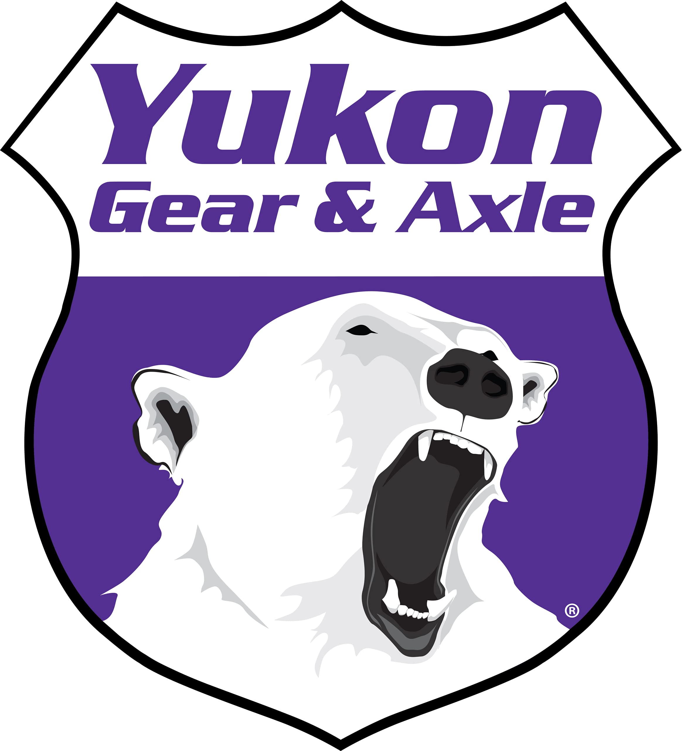 Yukon Gear & Axle (Yk C8.25-C) Master Overhaul Kit For Chrysler 8.25 Ifs Differential