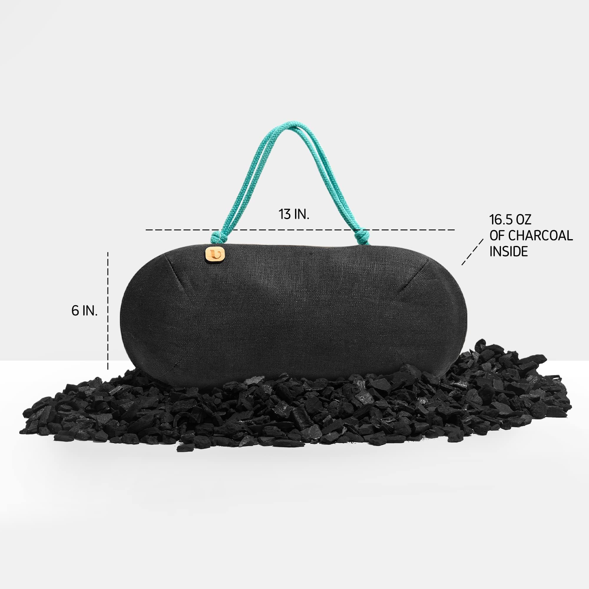 Purggo Car Air Freshener - Lasts 365+ Days - No Chemicals - 100% Activated Bamboo Charcoal - No Fragrance Deodorizer, Auto Odor
