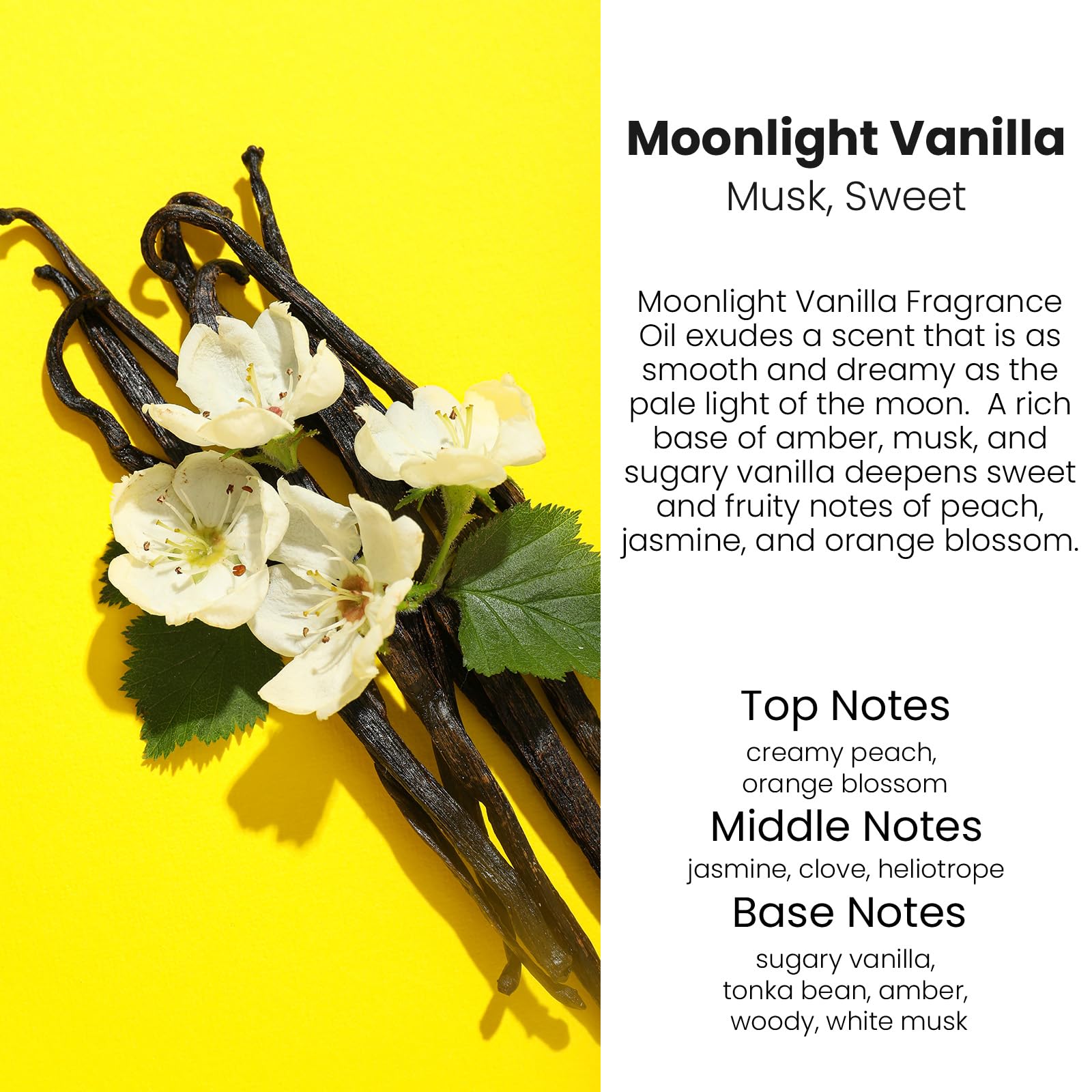 C CLASSY PERSONALIZED JEWELRY Car Air Freshener 2 Pack, Moonlight Vanilla Essential Oil, 0.14 Fl Oz, Made in USA, Cute Car Accessories