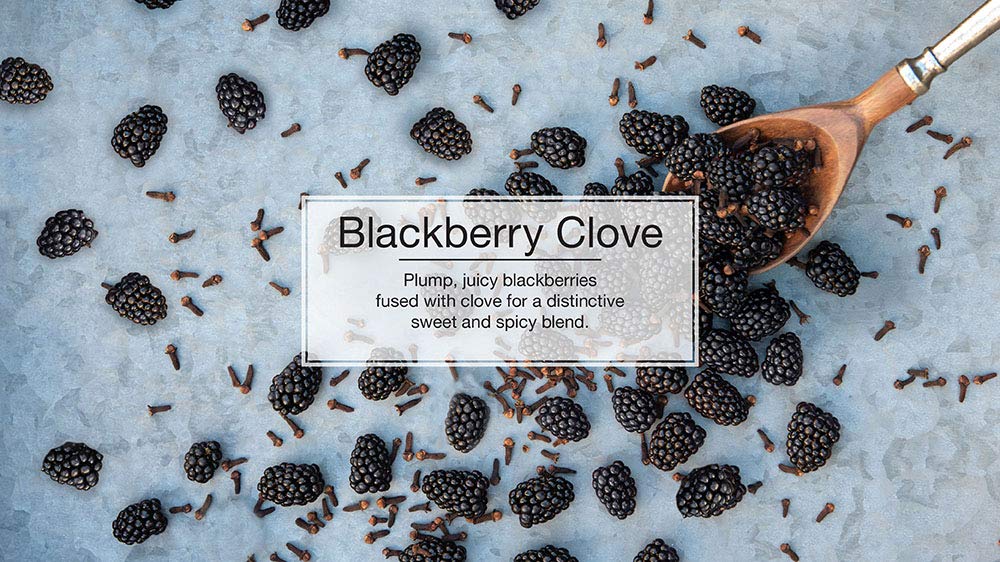 LITTLE TREES Car Air Freshener - Blackberry Clove, 4 Count (Pack of 6) - Long Lasting Scent for Auto or Home, Model U6P-67343-