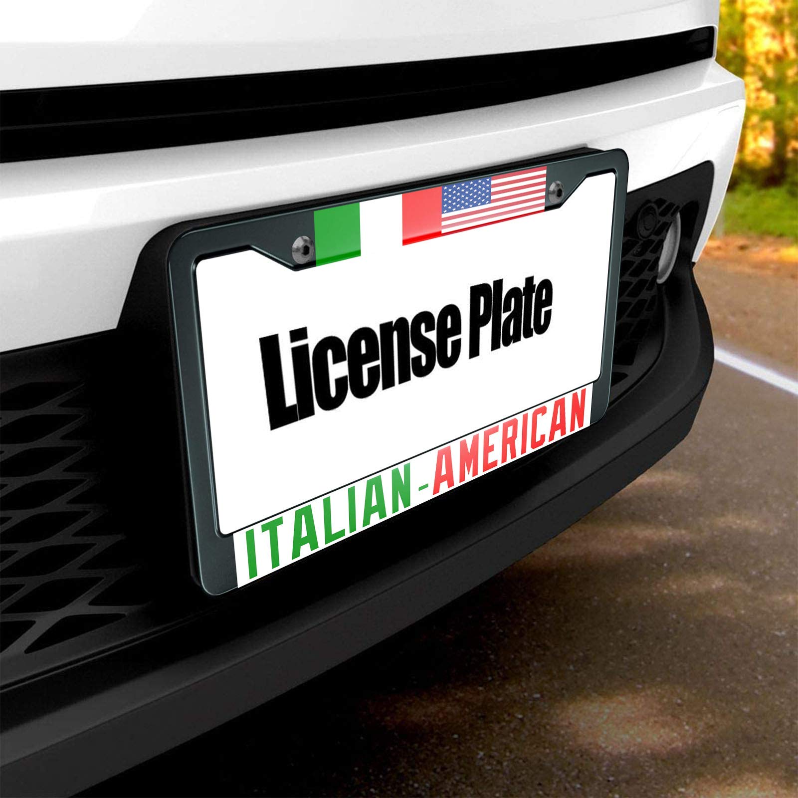 HOSNYE Italian American Flay License Plate Frame Symbol of Friendship Between The Two Countries Metal License Plate Cover Front