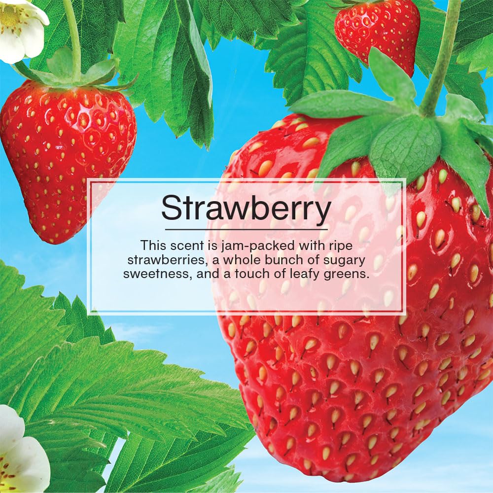 Little Trees Air Fresheners Car Air Freshener. Hanging Tree Provides Long Lasting Scent For Auto Or Home. Strawberry, 24 Air Fre