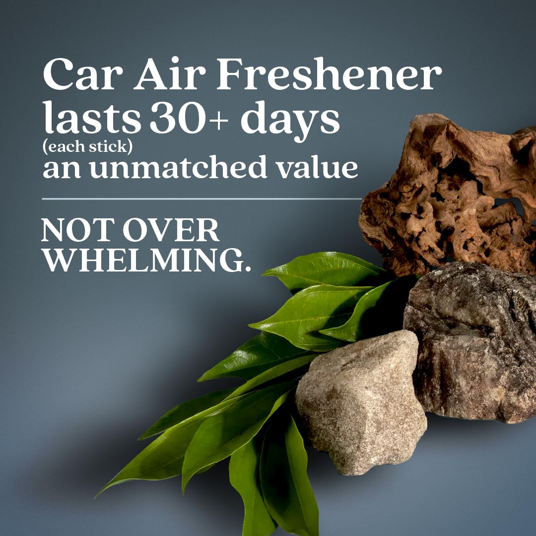 Enviroscent Non-Toxic Car Air Freshener (Coastal Storm & Teakwood) Natural Car Air Freshener | Essential Oil Diffuser | Car Scen