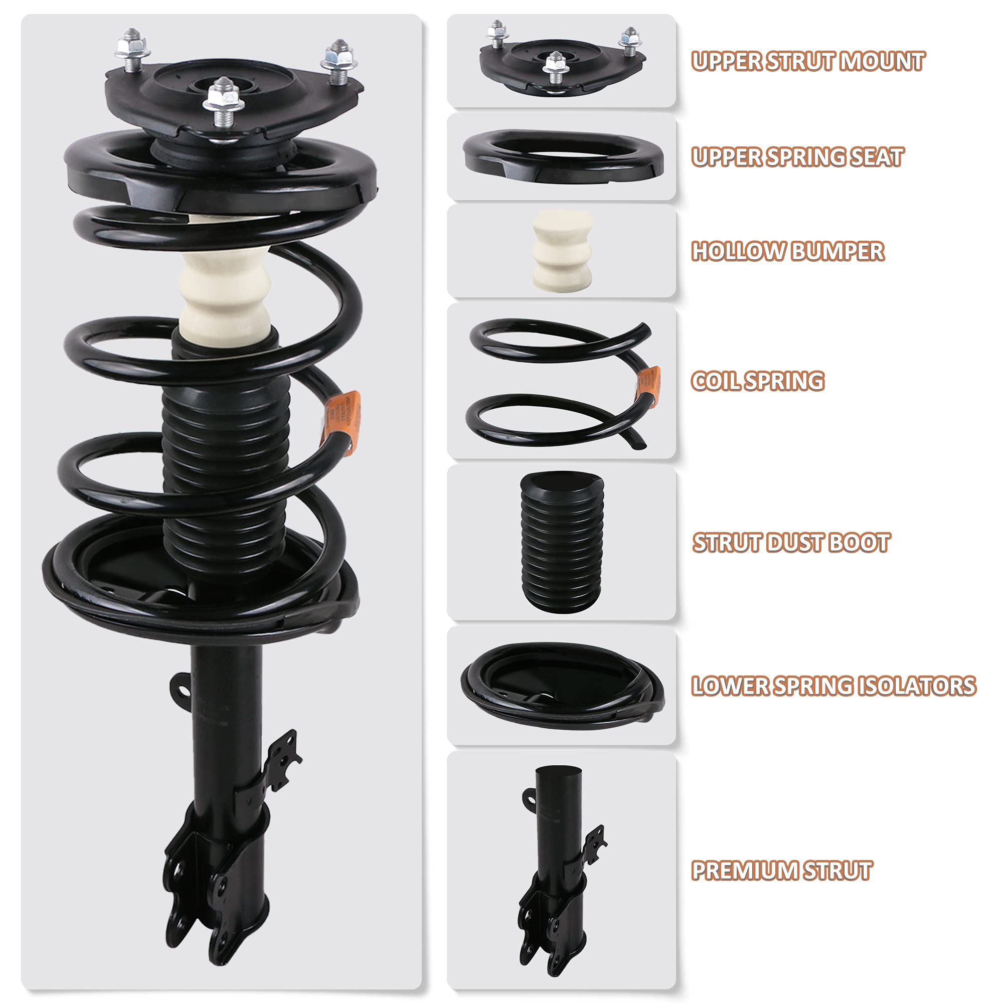 Mostplus Rear Complete Strut Spring Shock Absorber 172309 172310 Compatible With 2008-2011 Toyota Camry Avalon