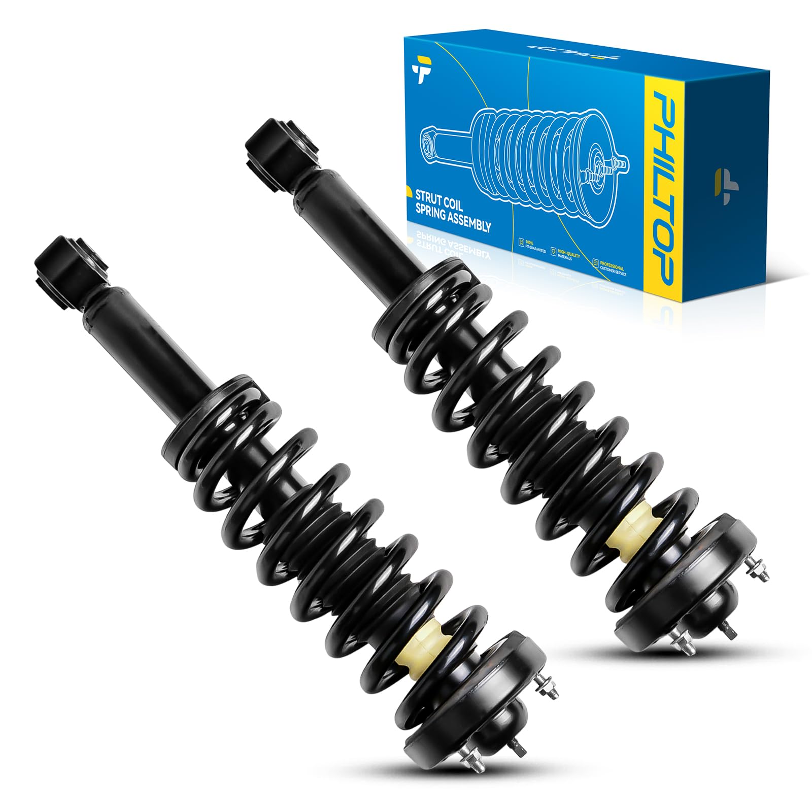 Philtop Front Left Right Struts Shock Absorber Assembly Fits F150 2009 2010 2011 2012 2013, Complete Suspension 171141 * 2, Stru