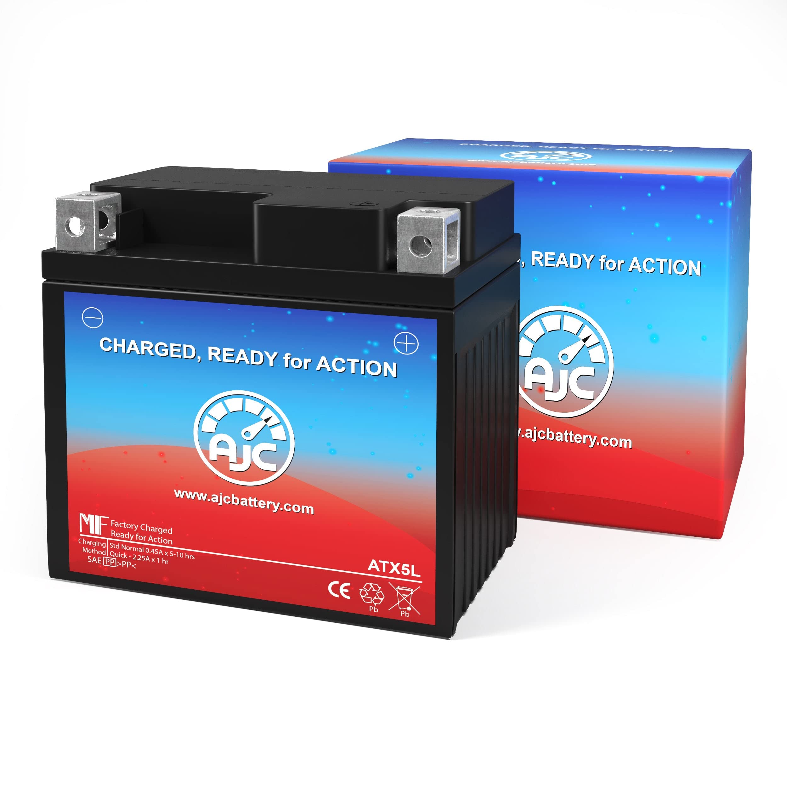 Ajc Battery Compatible With Yamaha Ttr230 230Cc Motorcycle Battery (2008)