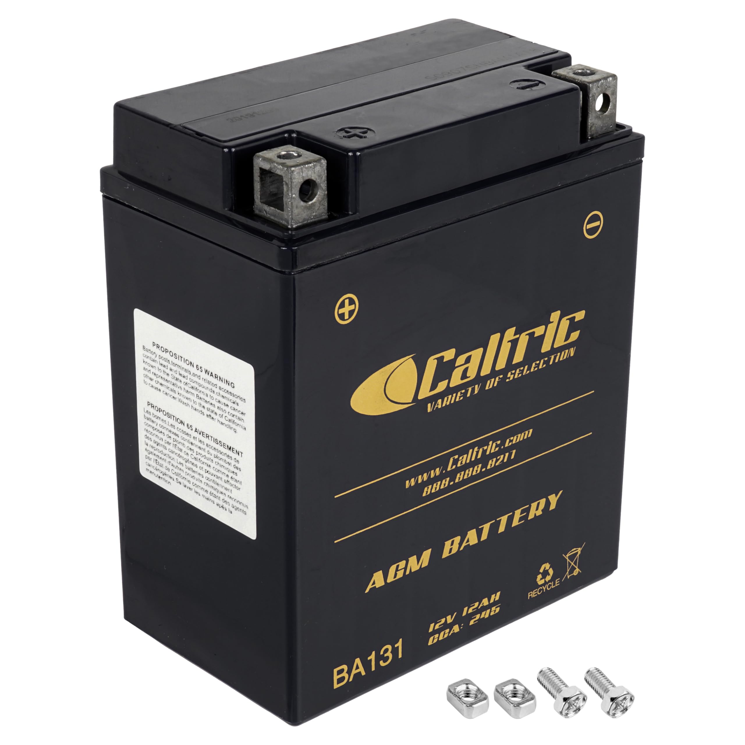 Caltric Agm Battery Compatible with Yamaha Timberwolf 250 Yfb250 2Wd 1992 1993 1994 1995-1998