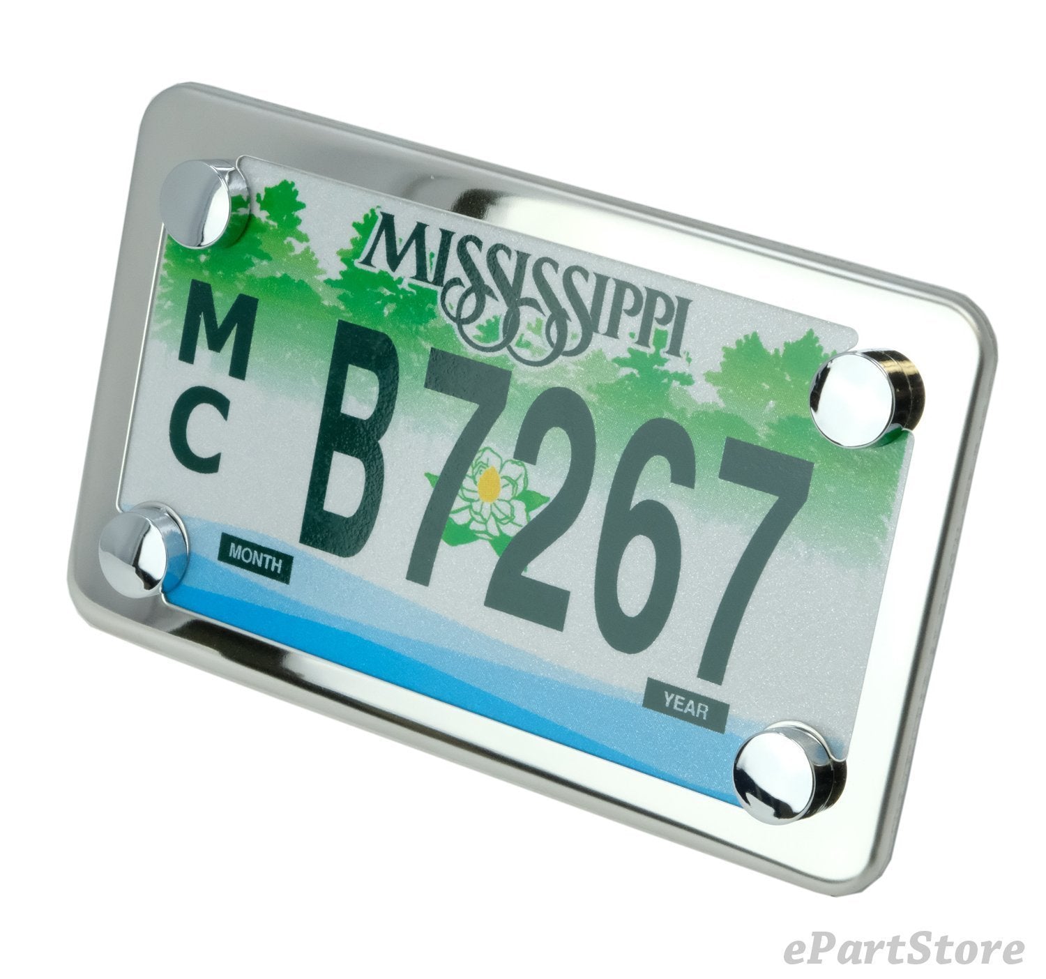 LFPartS Stainless Steel Motorcycle License Plate Frame & Backing Plate Set, Model US-ALBL2451SS, Durable & Stylish Automotive Accessory