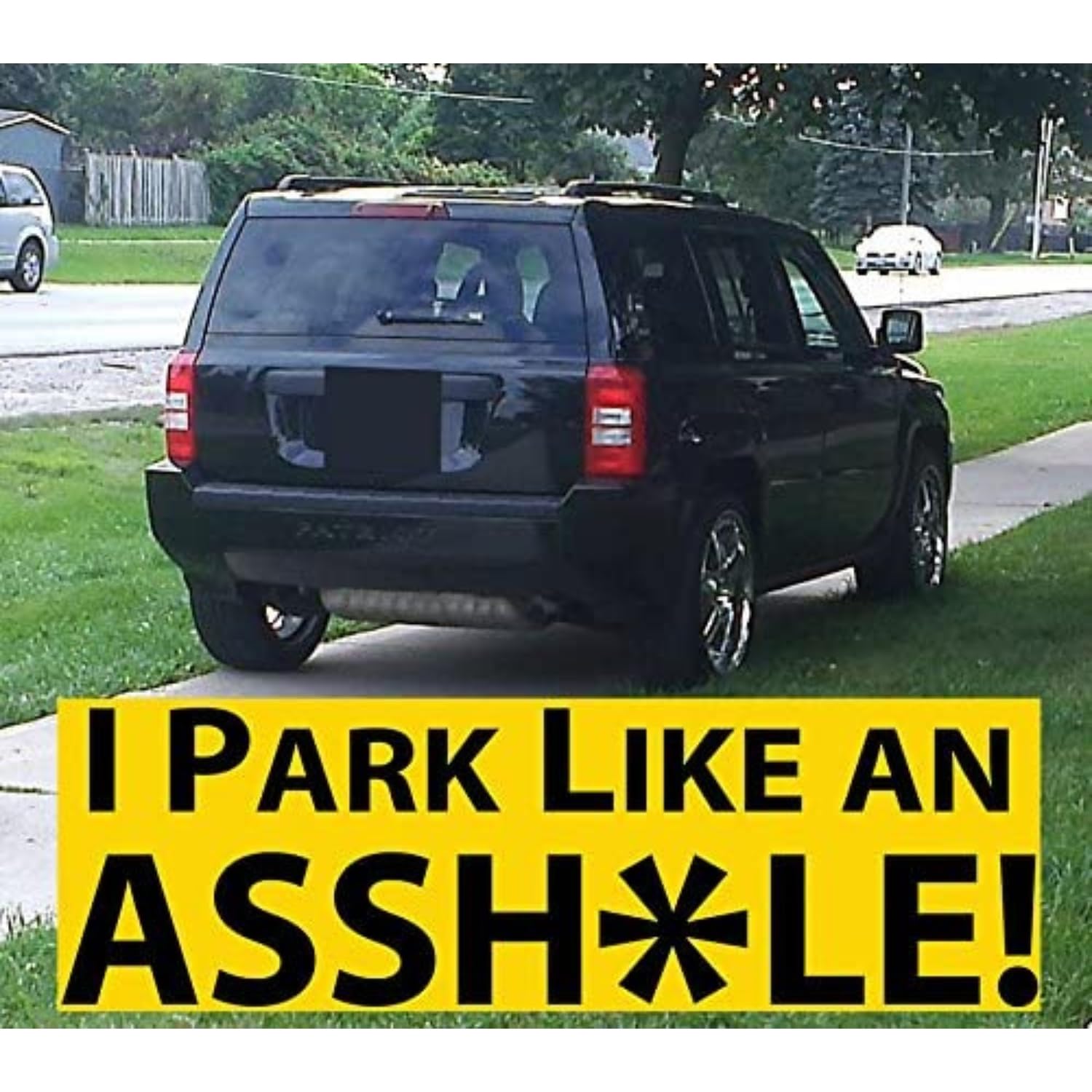Witty Yetis I Park Like an Asshole Bumper Sticker 10 Pack. Prank, Shame & Insult Selfish Idiots for Their Bad Parking. Enact Hil
