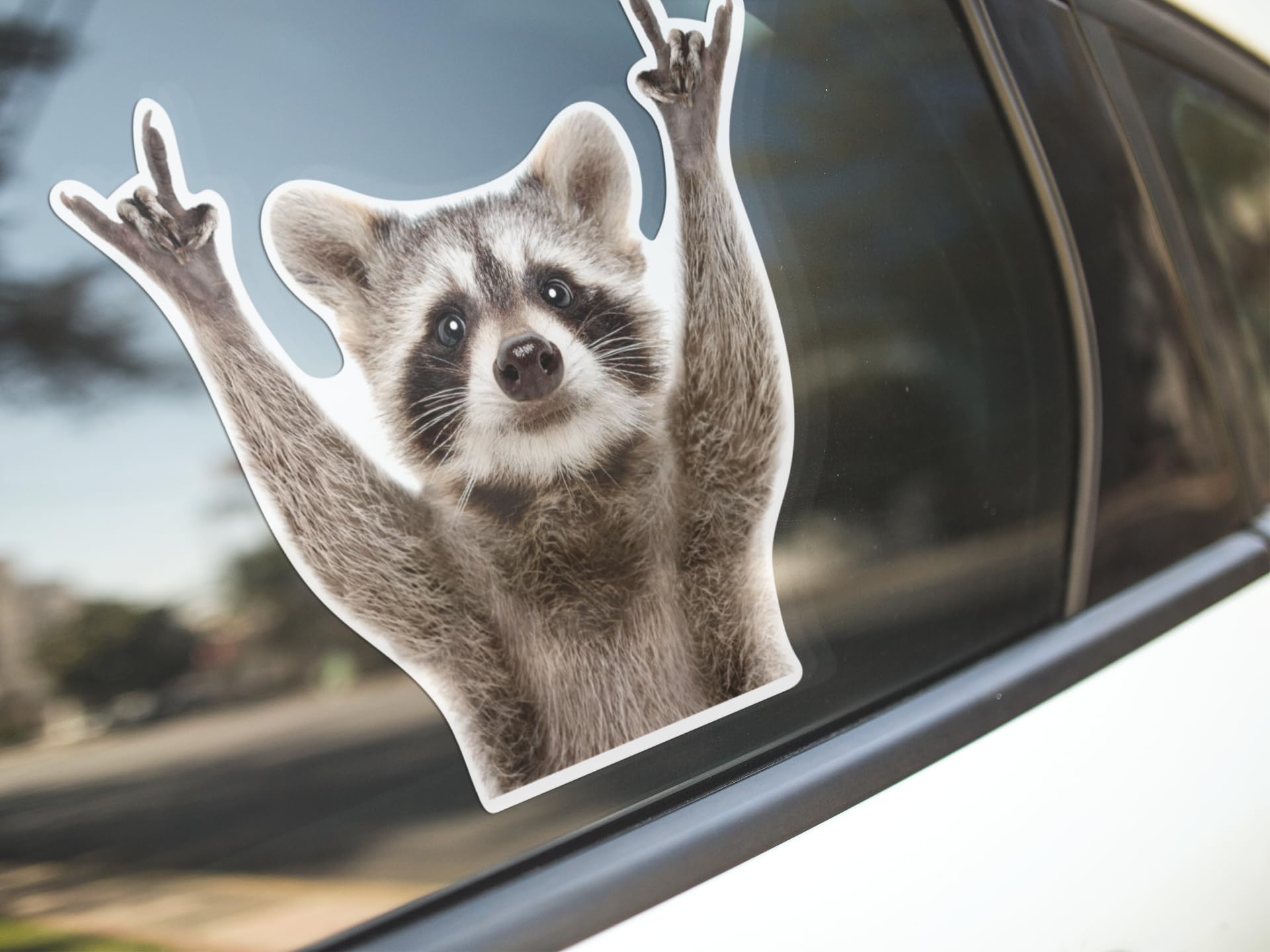 ArkWisdom Rocking Raccoon Sticker, 5.5-Inch Vinyl Car Decal, Multicolor, Model AWPS109