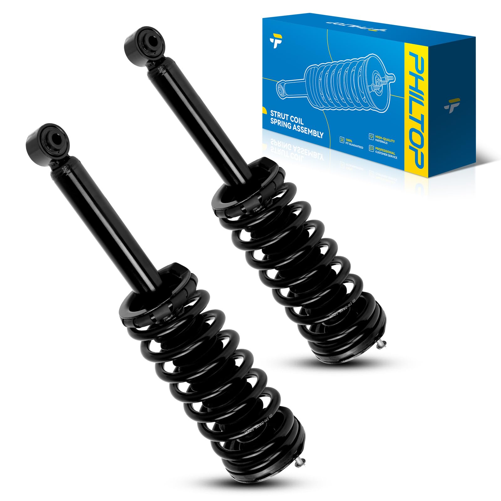 Philtop Rear Struts Assembly Shock Absorber Direct Replacement For Maxima 1995 1996 1997 1998 1999, Quick Suspension 171293, Str