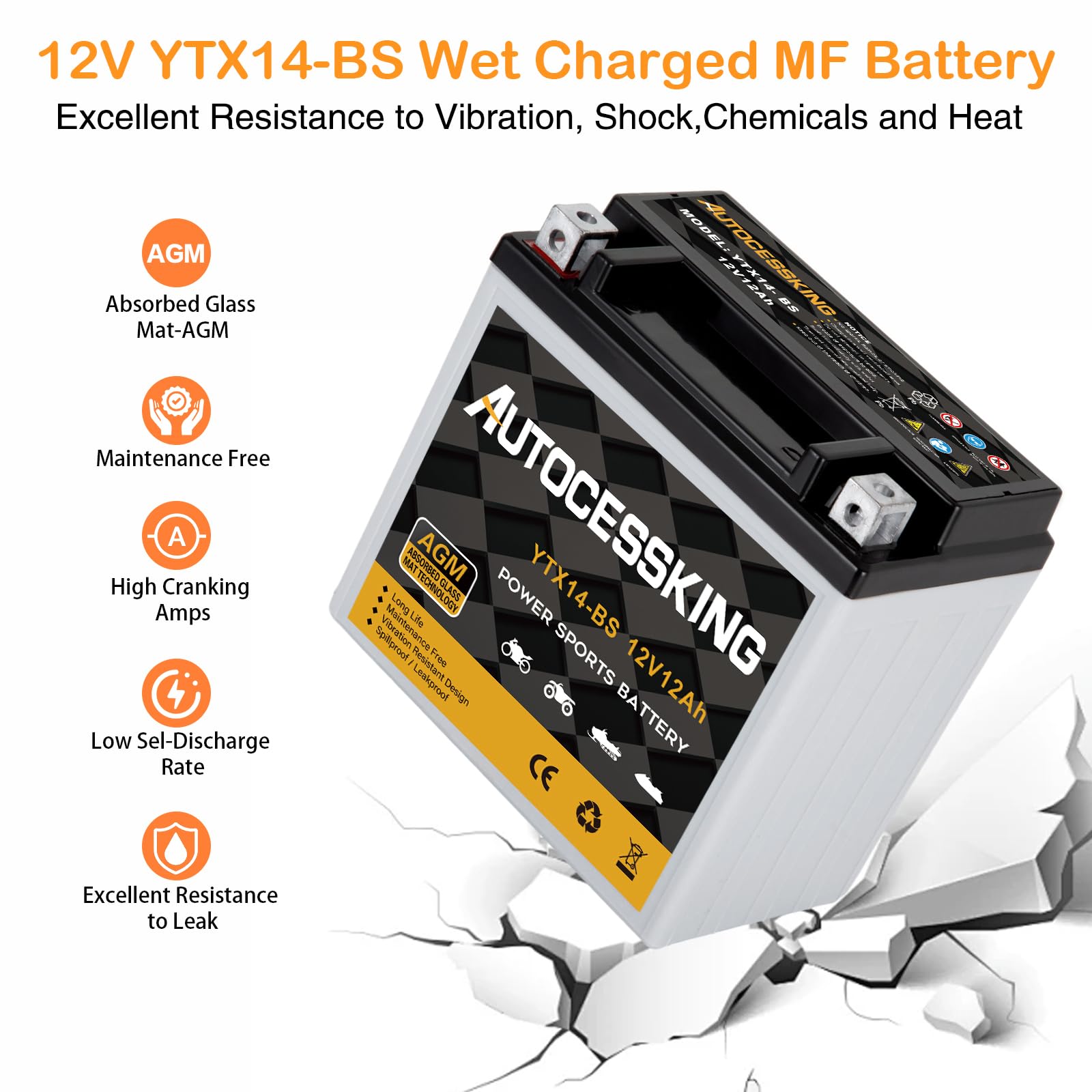 Autocessking YTX14-BS 12V 12Ah Sealed AGM Motorcycle Battery - Maintenance Free Powersport Replacement for ATV/Scooter