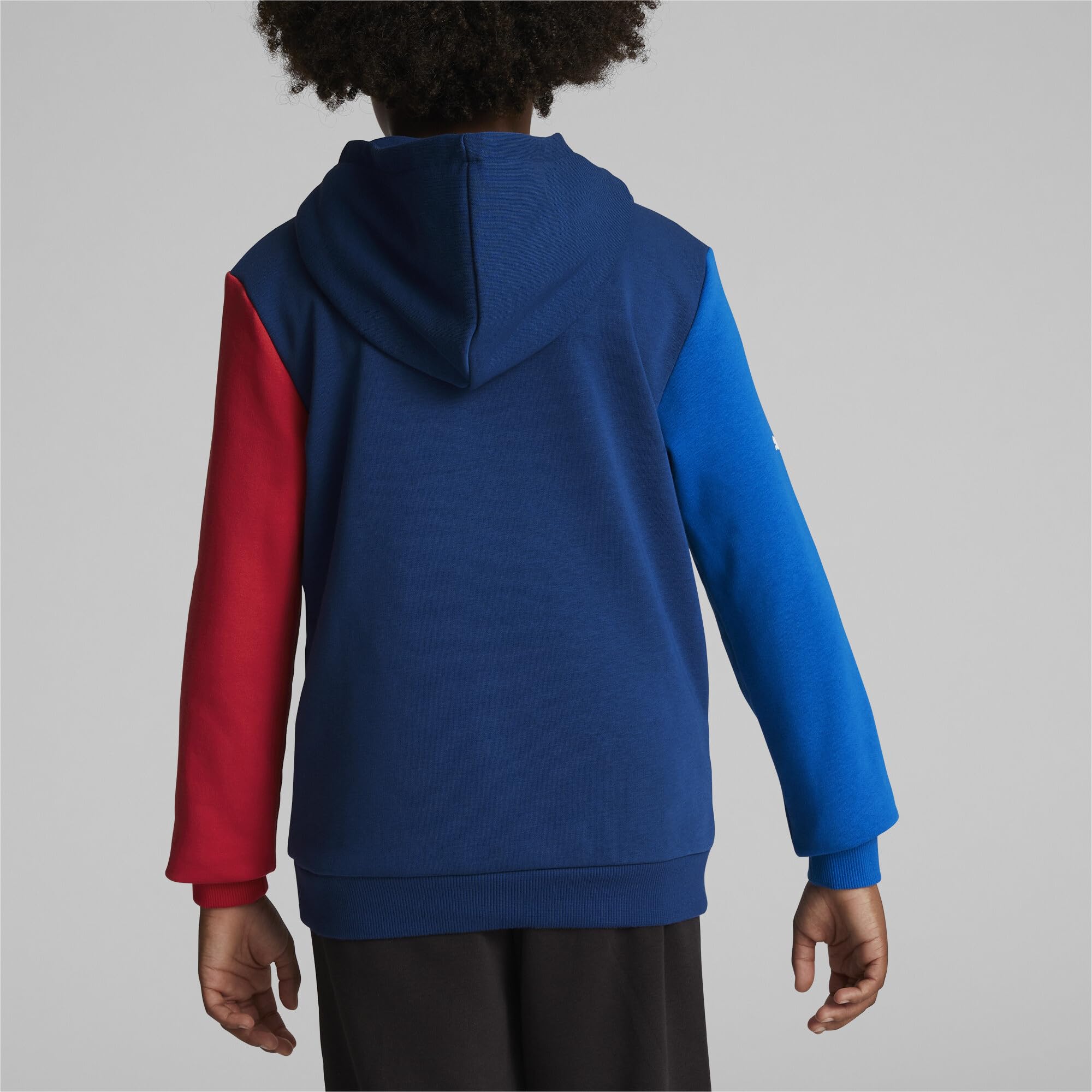 PUMA BMW M Motorsport Hoodie