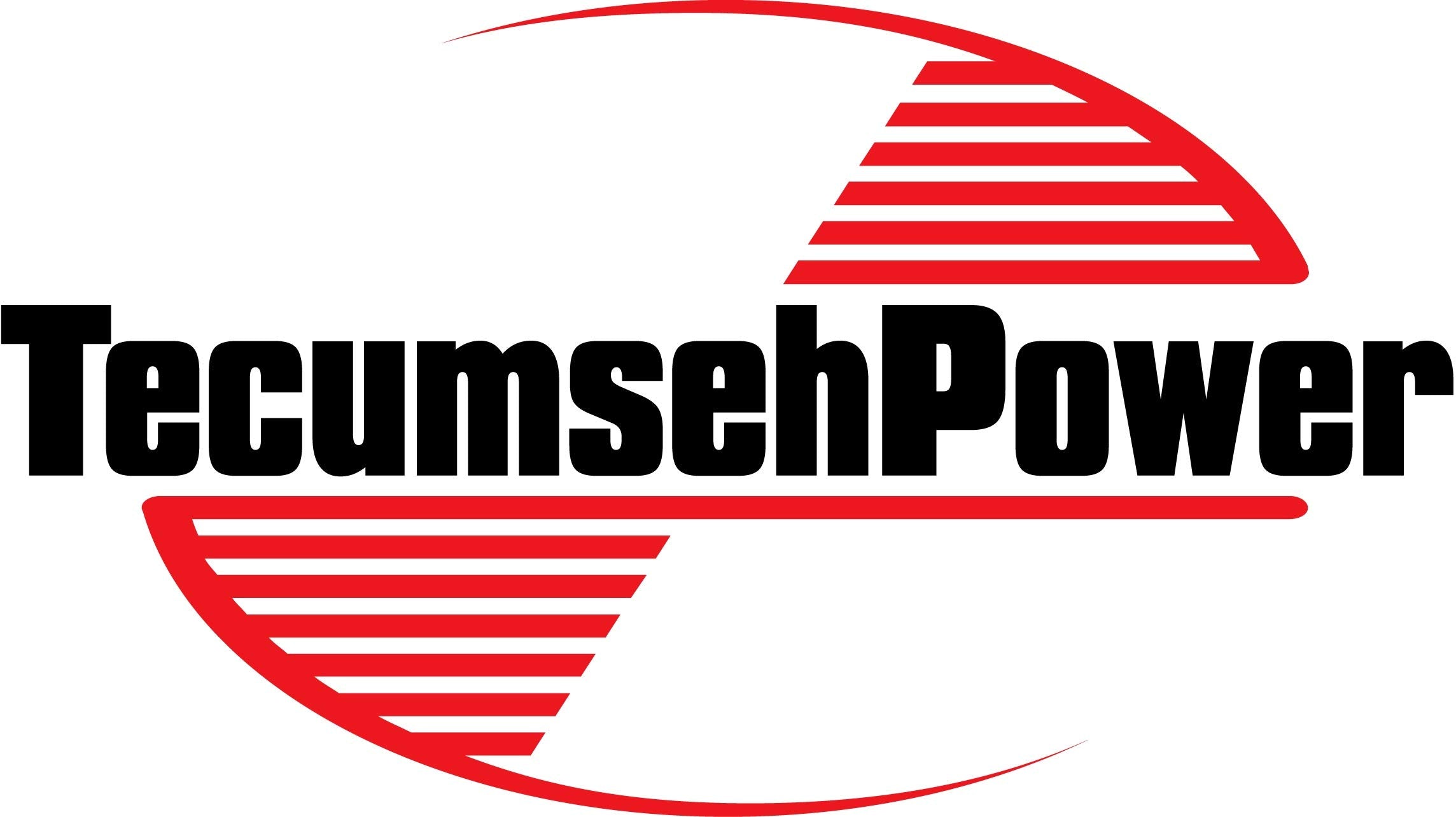 Tecumseh 631028A Carburetor Float Bowl Gasket, Pack Of 2