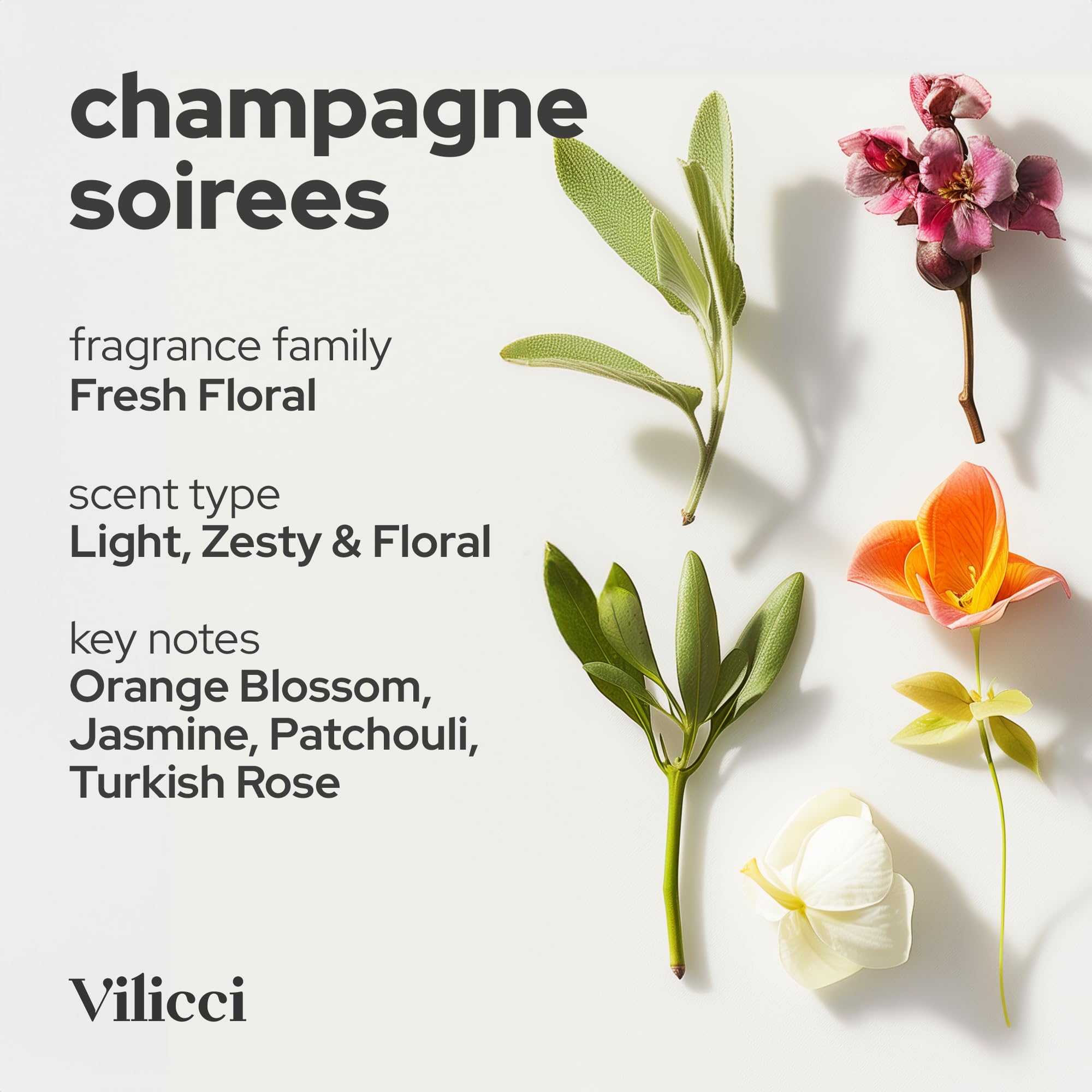 Vilicci Car Air Freshener, Champagne & Soirees Scent Perfume For A Refreshing Drive, Car Air Freshener, Eliminates Unpleasant Ho