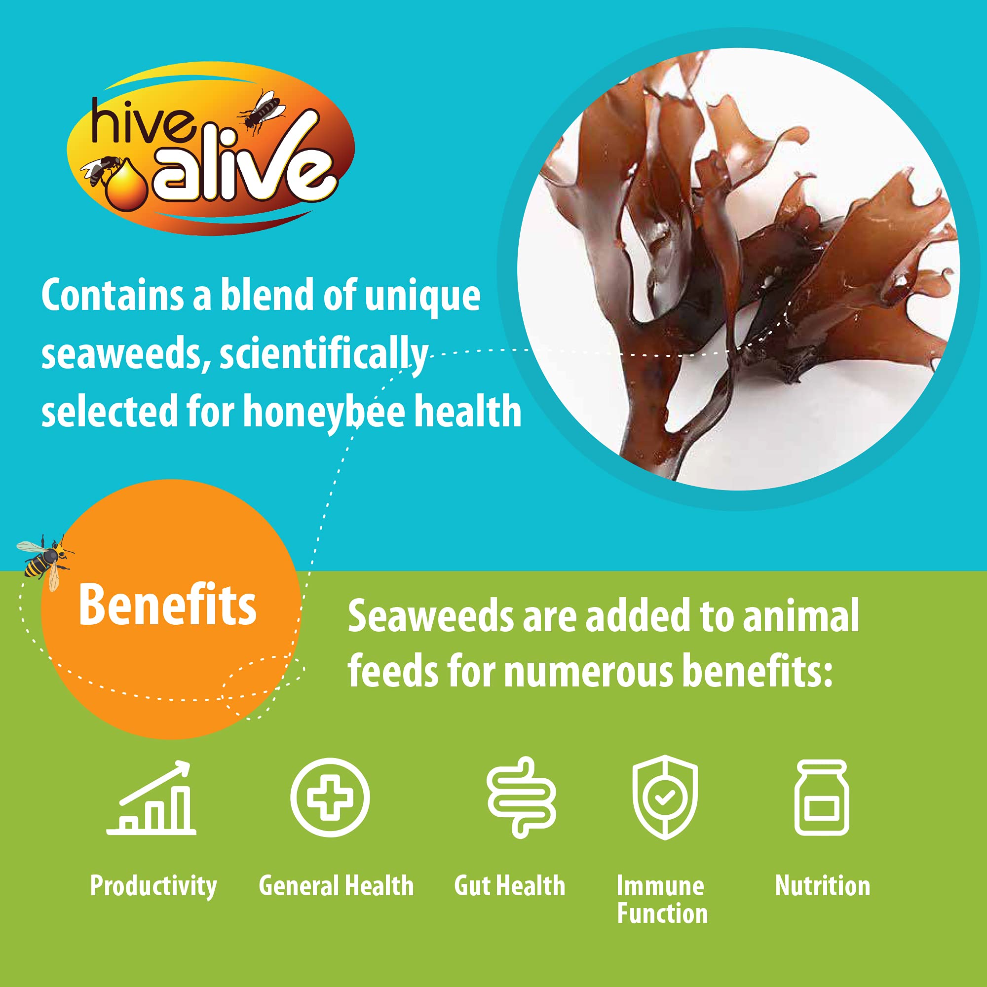 HIVE ALIVE Fondant Bee Food Supplement - Natural Feed Enhancer with Vitamins & Amino Acids - Ideal for Winter/Spring - Single