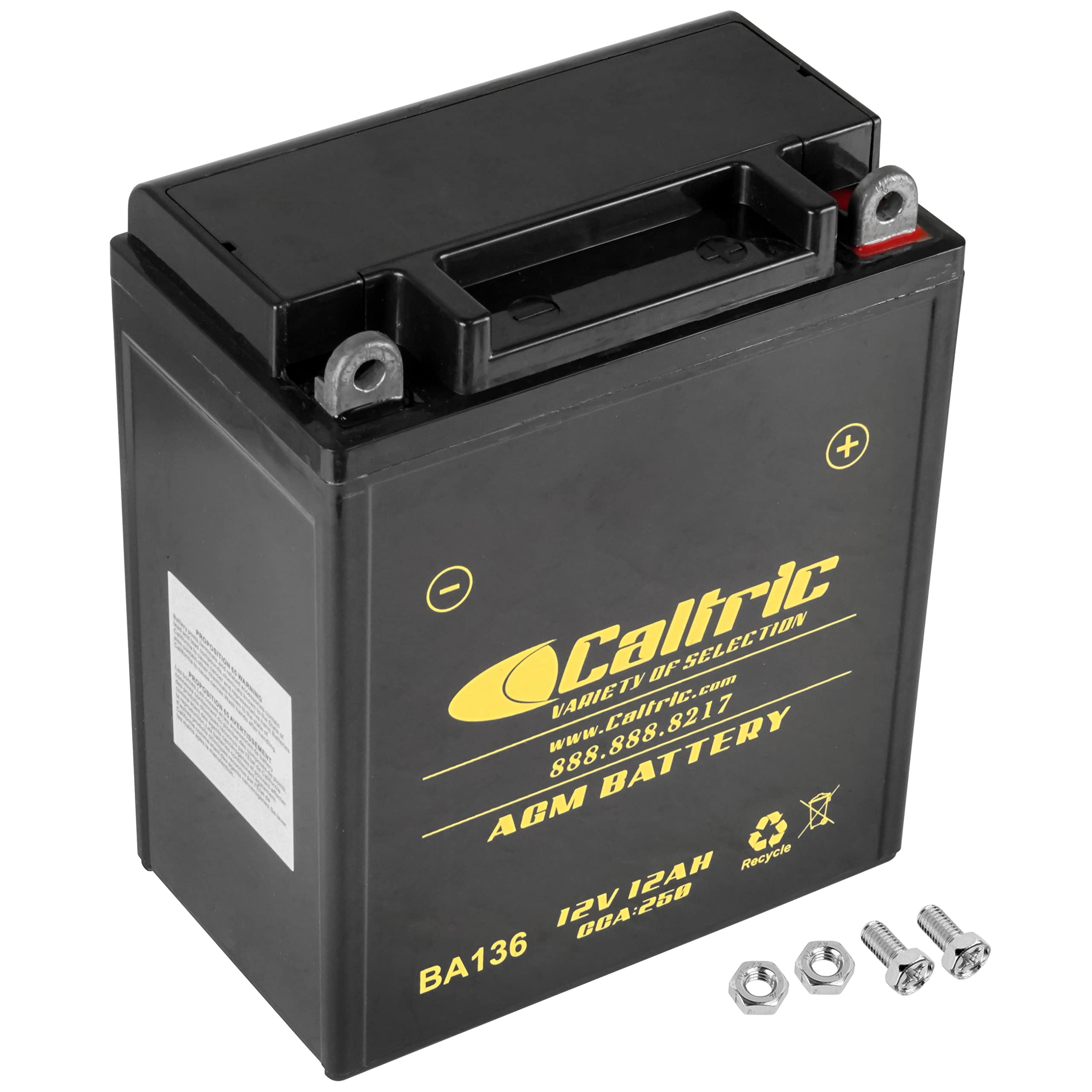 Caltric Yb12Al-A2 Agm Battery Compatible with Yamaha 2Gv-82110-G0-00 Btg-Gm12A-Z3-A2