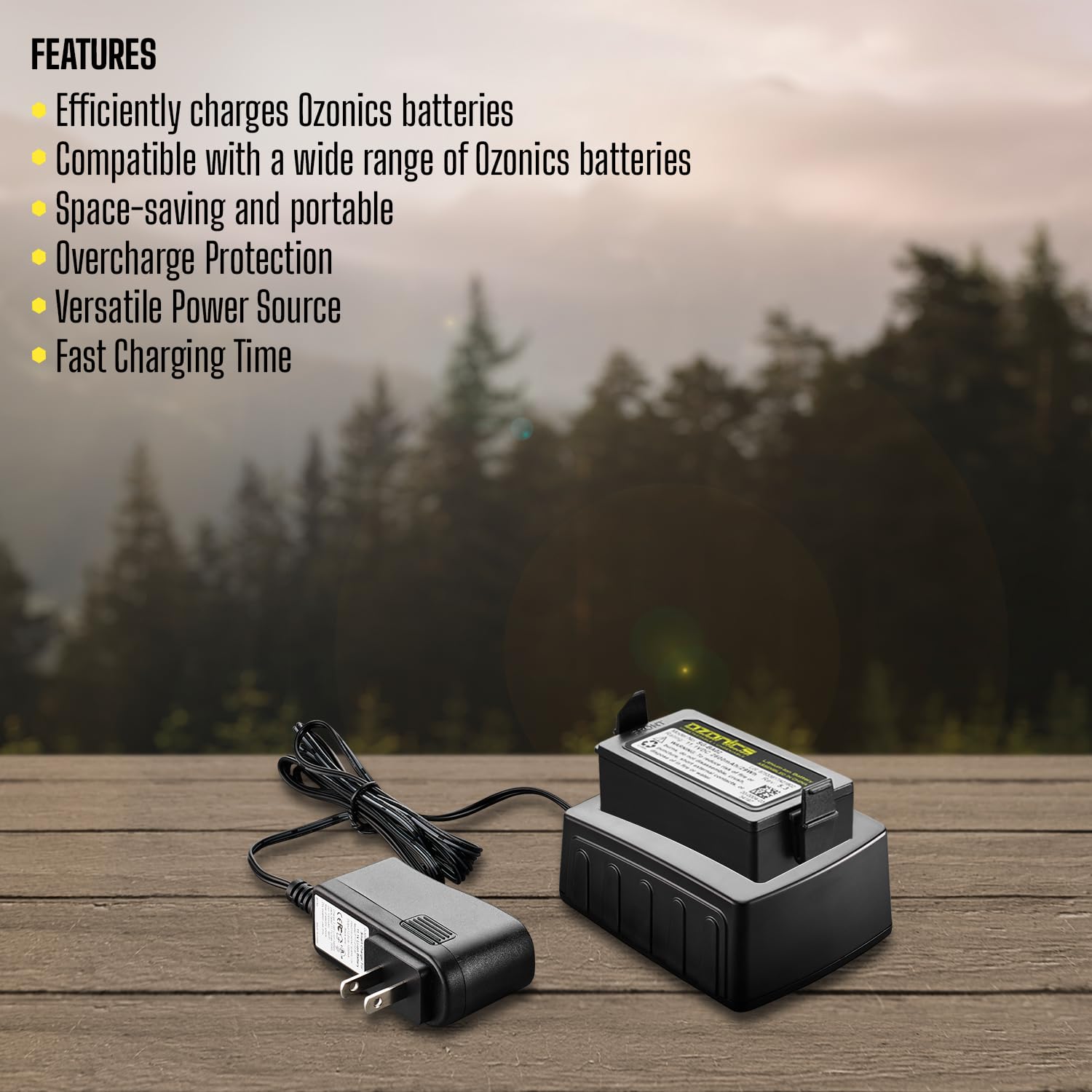 Ozonics Battery Charger for HR230/HR200/HR150 - Smart Charging Technology, Black, Model 56741