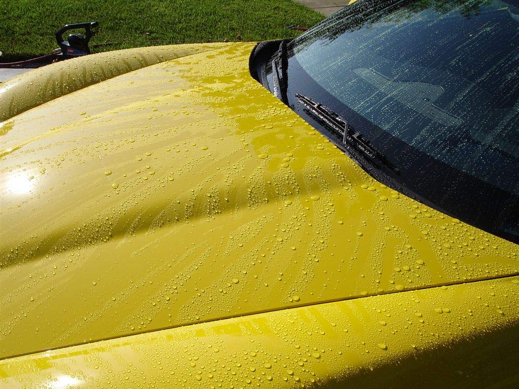 Corrosion Technologies RejeX Paint & Surface Sealant - High Gloss Finish, 16 fl oz, Ceramic, Lasts 3X Longer Than Wax, Model 61002