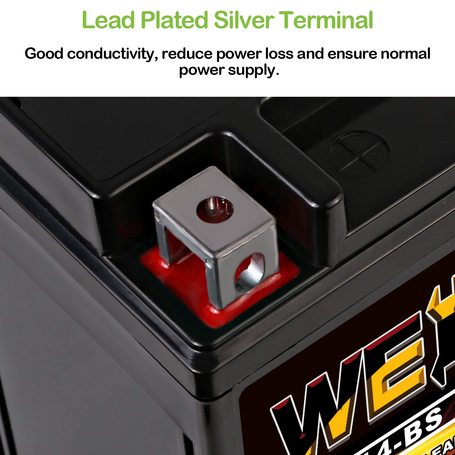 WEIZE YTX14-BS ATV Battery - Maintenance Free Sealed AGM - Black - Compatible with Honda, Suzuki, Kawasaki, Yamaha