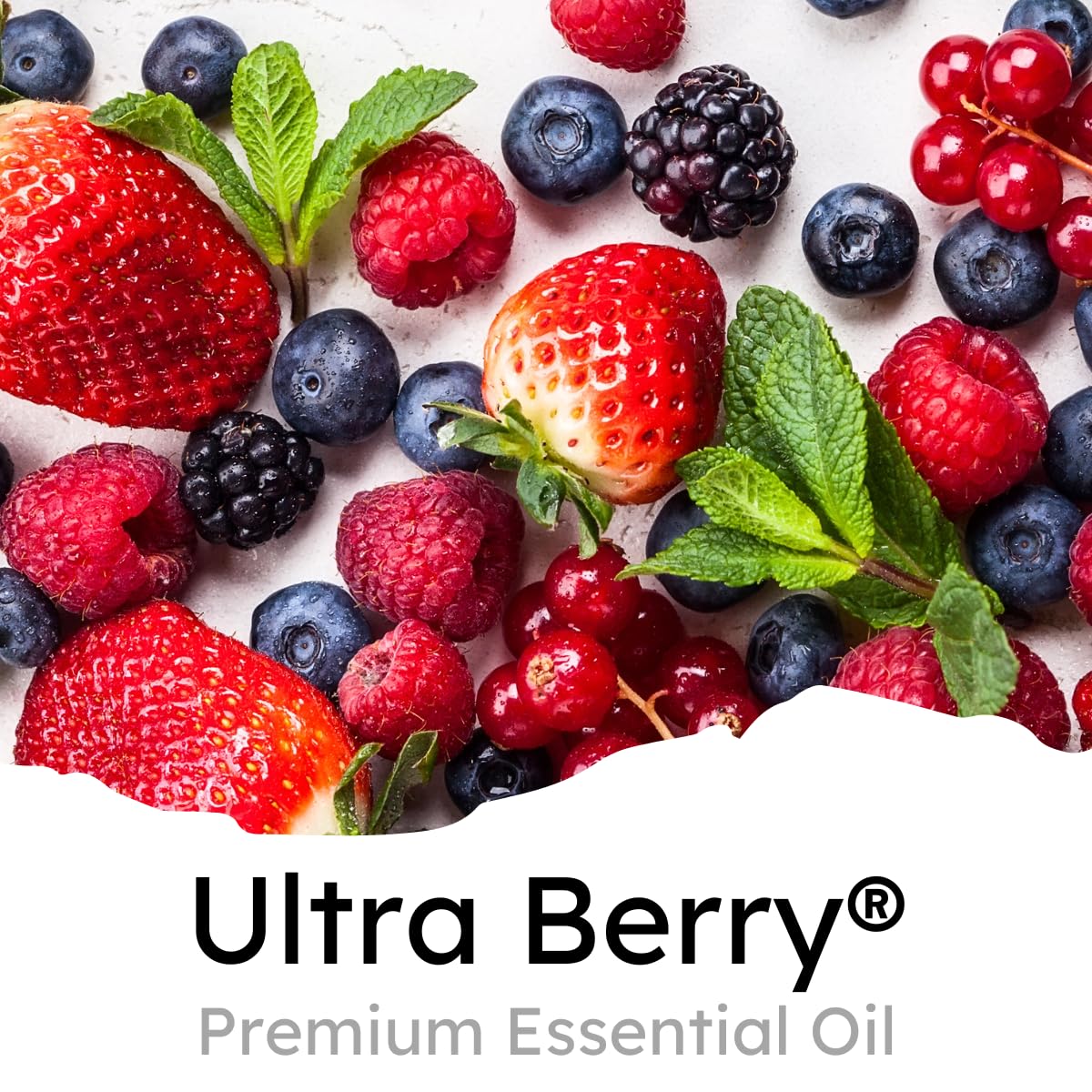 Air Jungles Ultra Berry Scent Car Air Freshener Clip, 6 Vent Clips, 4Ml Each, Long Lasting Air Freshener, Up To 180 Days Car Ref