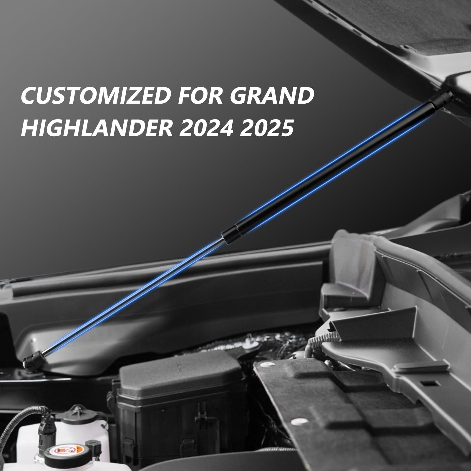 TECHPICCO Hood Struts for 2024-2025 Grand Highlander | No Drill Gas Springs | Black Stainless Steel Lift Supports