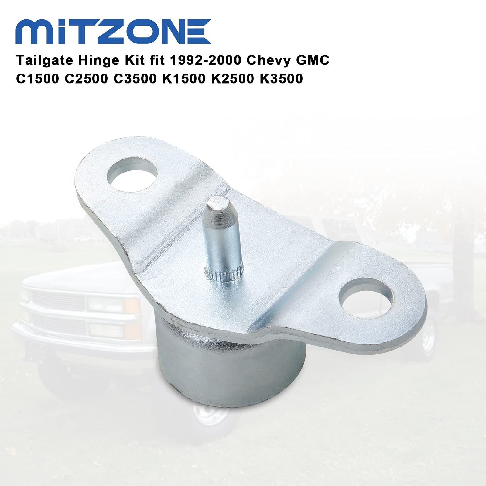 MITZONE Tailgate Hinge Kit Compatible with 1992-2000 Chevy GMC C1500 C2500 C3500 K1500 K2500 K3500 Replace # 15521579 15603558 1