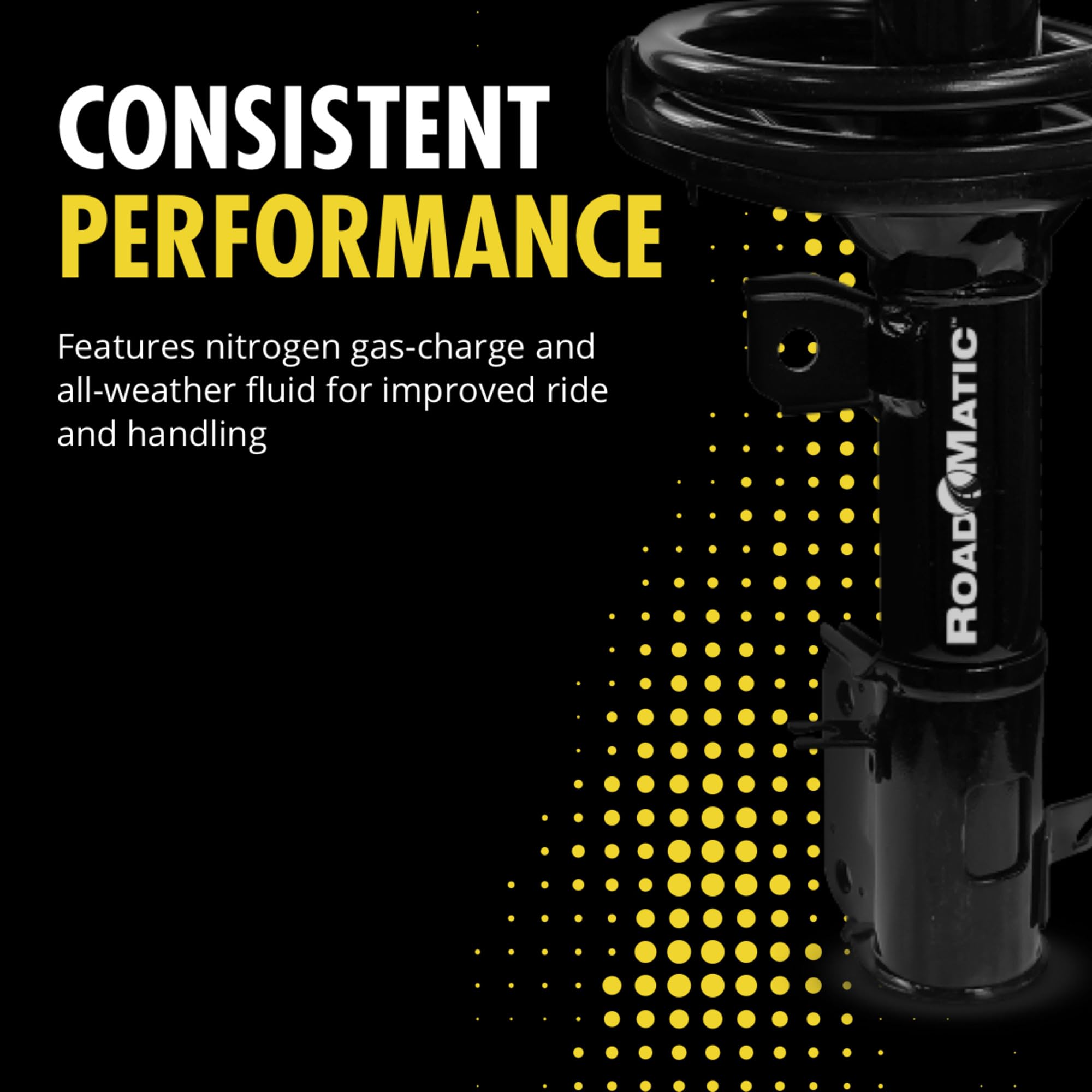 Monroe Roadmatic 181341 Suspension Strut And Coil Spring Assembly For Chevrolet Trailblazer