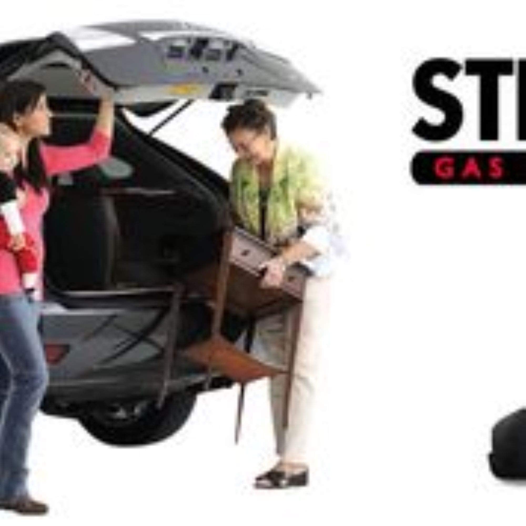 Strongarm 4727 Hatch Lift Support, Pack Of 1, Black