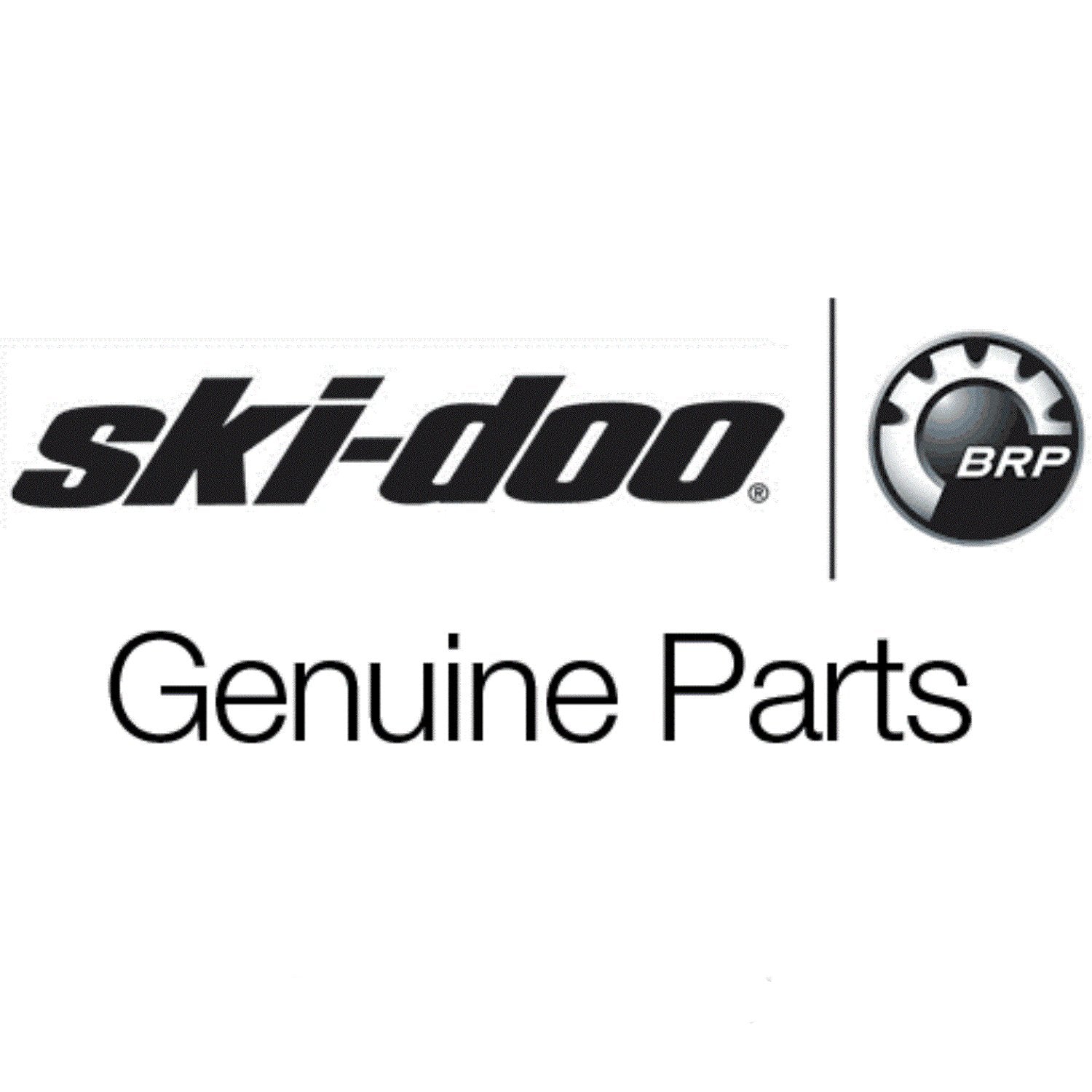 Ski-Doo OEM Triple Guard Grease - 296000329, High-Performance Lubricant for Snowmobiles