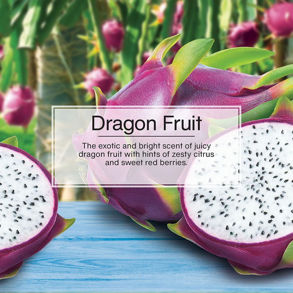 Little Trees Air Fresheners Car Air Freshener. Hanging Tree Provides Long Lasting Scent For Auto Or Home. Dragon Fruit, 24 Air F