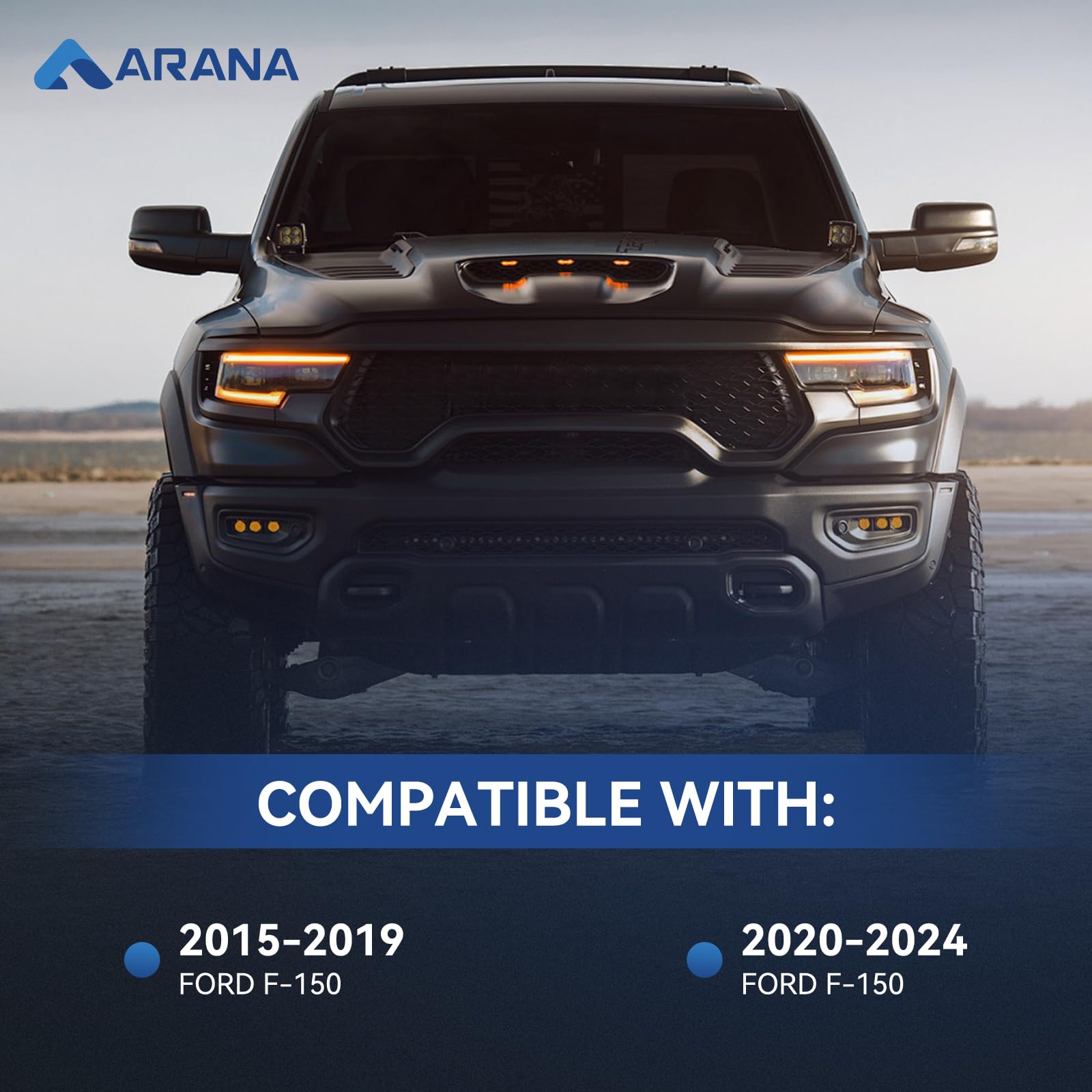 ARANA Tailgate Assist Shock Kit for F150 2015-2025, Black Hydraulic Damper, No-Drill Installation, Carbon Steel, Model 43204