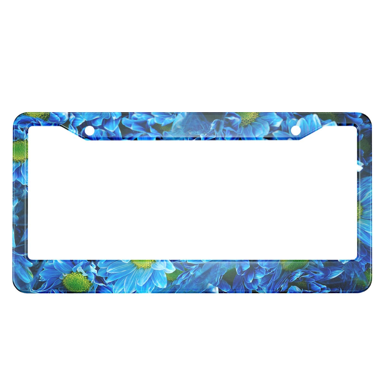 HOSNYE Blue Chrysanthemum License Plate Frame Macro Beautiful Flower Bush Metal License Plate Cover Front Plates Frames Car Tag 