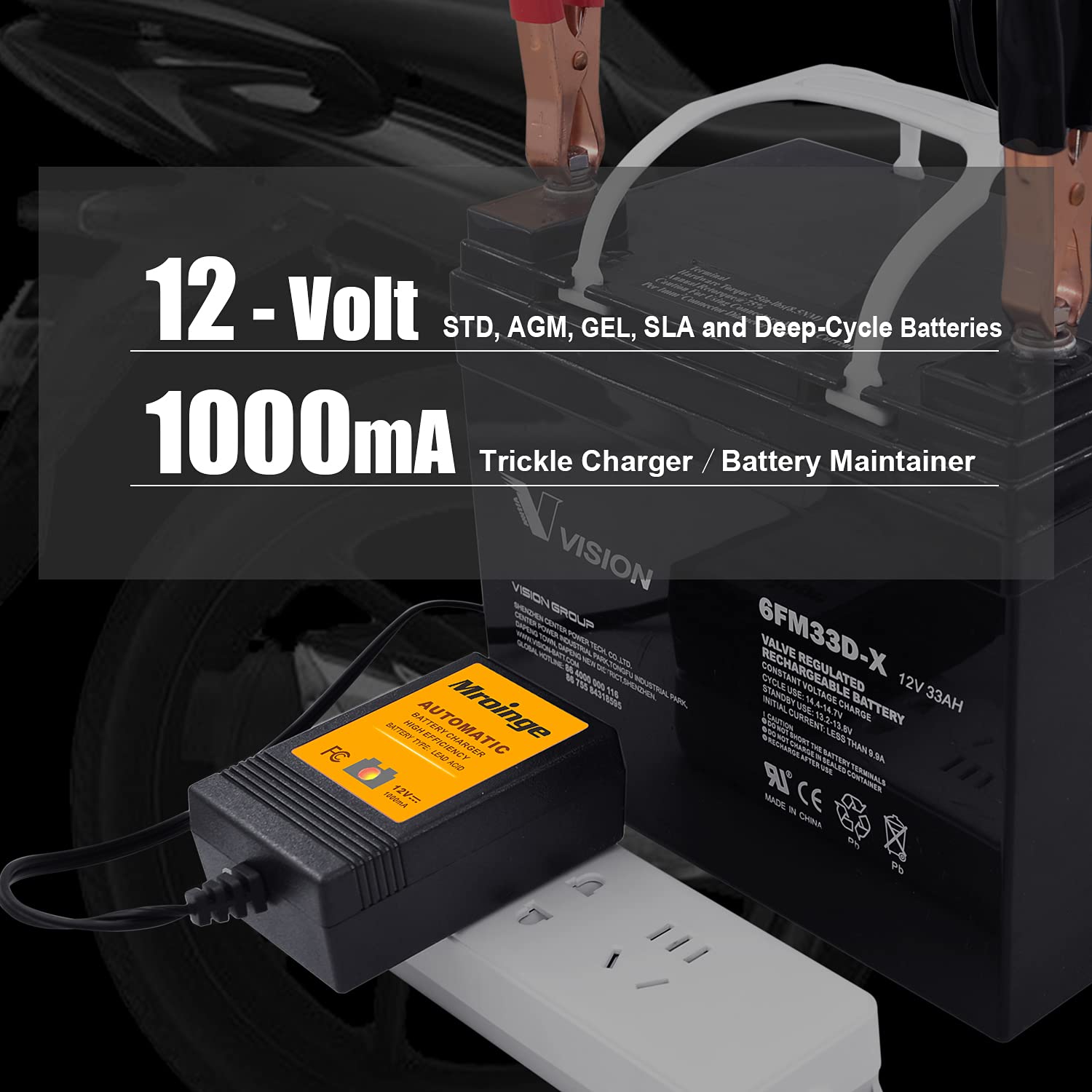 Mroinge Trickle Battery Charger 12V 1000Ma Smart Automatic Battery Charger & Maintainer And Float Charger For Motorcycle, Atv, L
