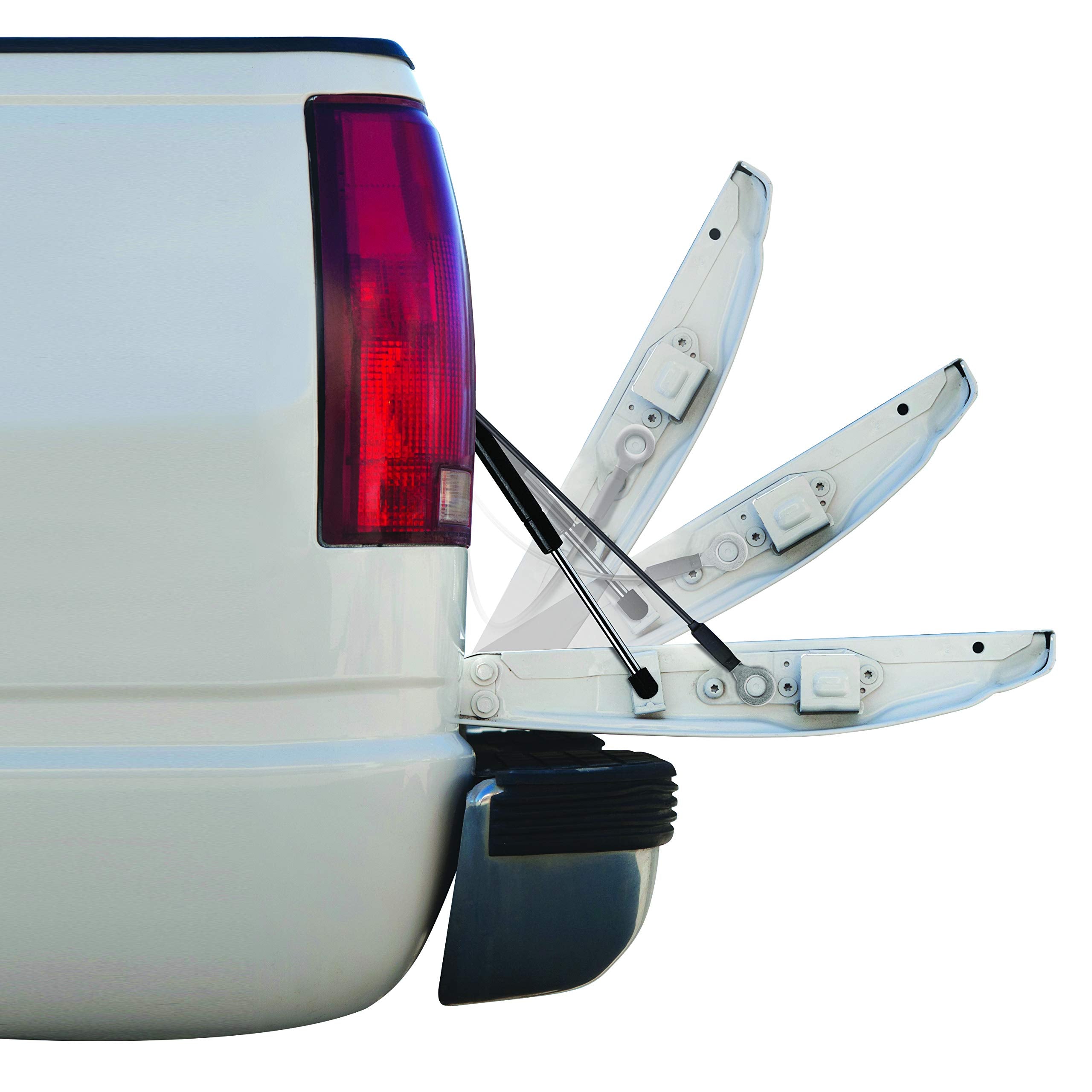 Strongarm 6156 Tailgate Lift Support, Pack Of 1, Black