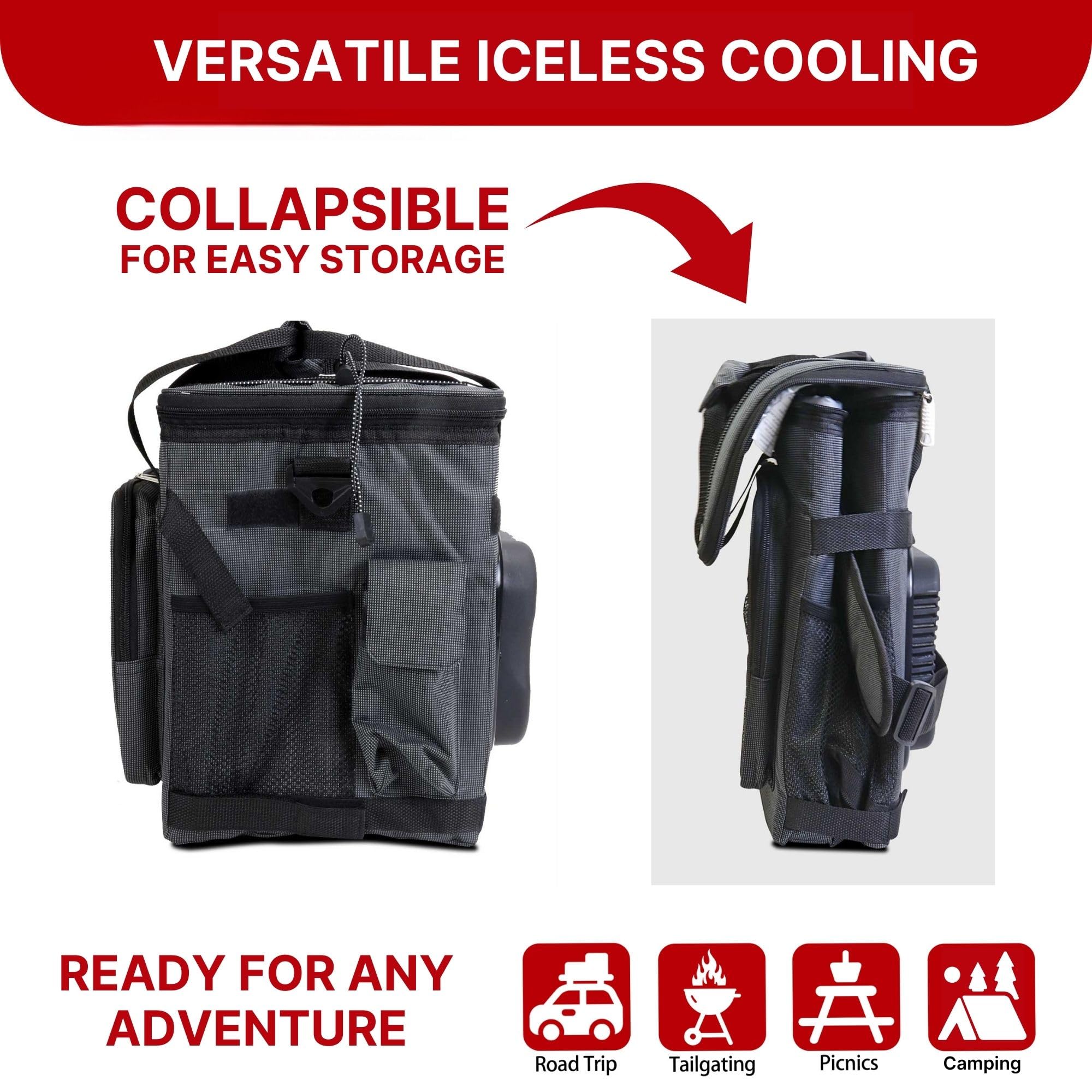 Koolatron 12V Electric Cooler Bag - 25L Portable Thermoelectric Fridge, Soft-Sided, Black, Model D25 AZ for Camping & Travel