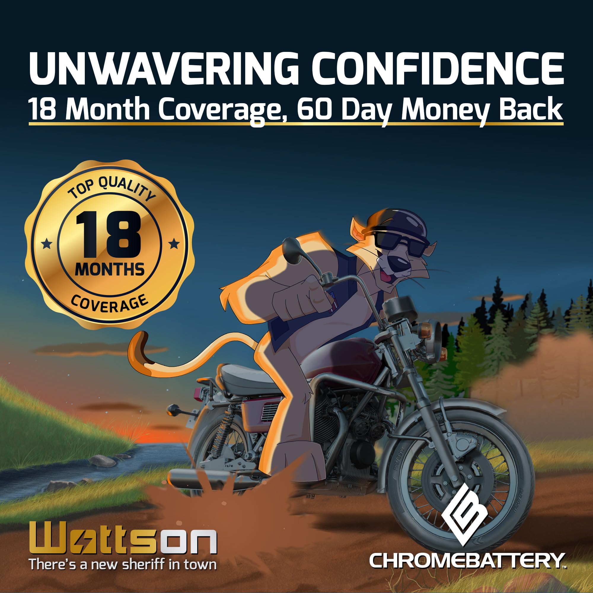 Cb Chromebattery Yb14L-A2 Maintenance-Free 12V 14Ah Battery Replacement For Atv, Motorcycle, Jet Skis, Scooter, Utv, And More -