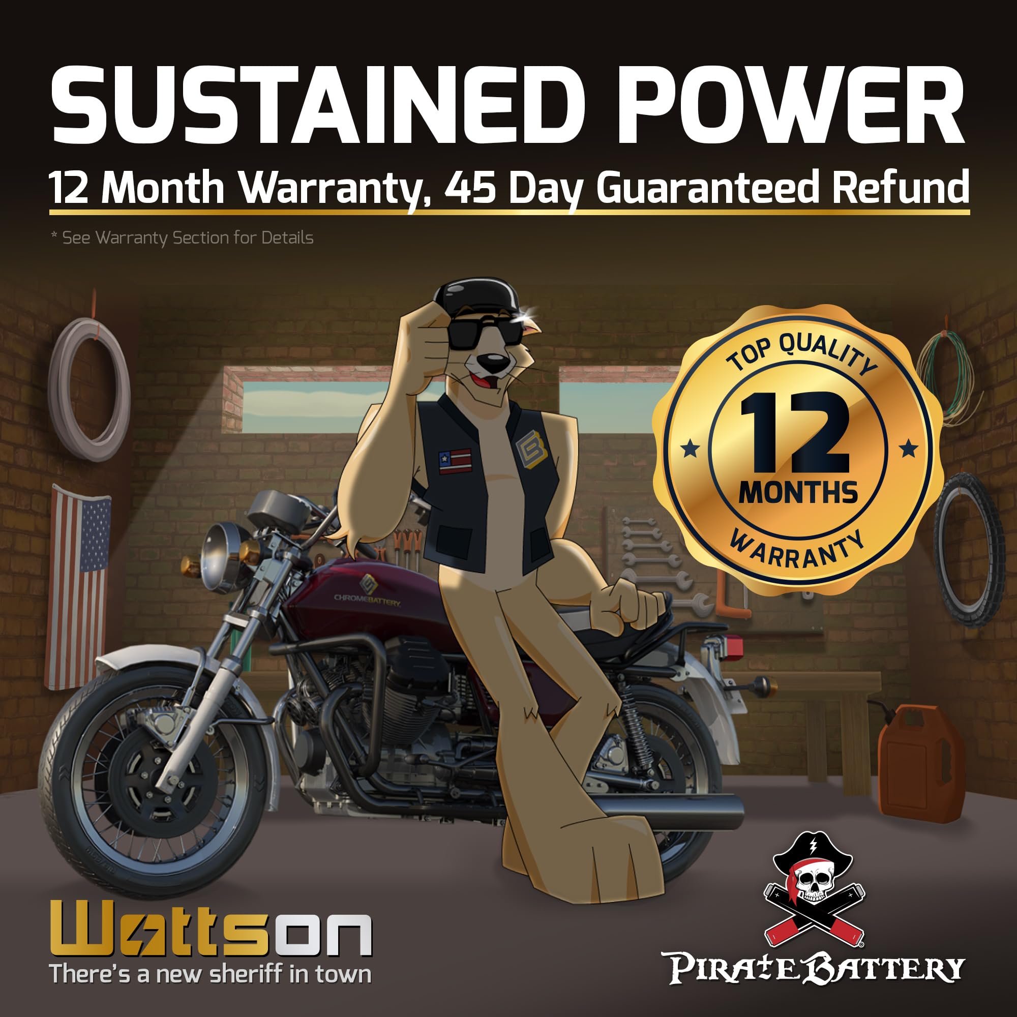 Pirate Battery 9-Bs Maintenance-Free 12V 10Ah Battery Replacement For Atv, Motorcycle, Jet Skis, Scooter, Utv, And More - Nut An
