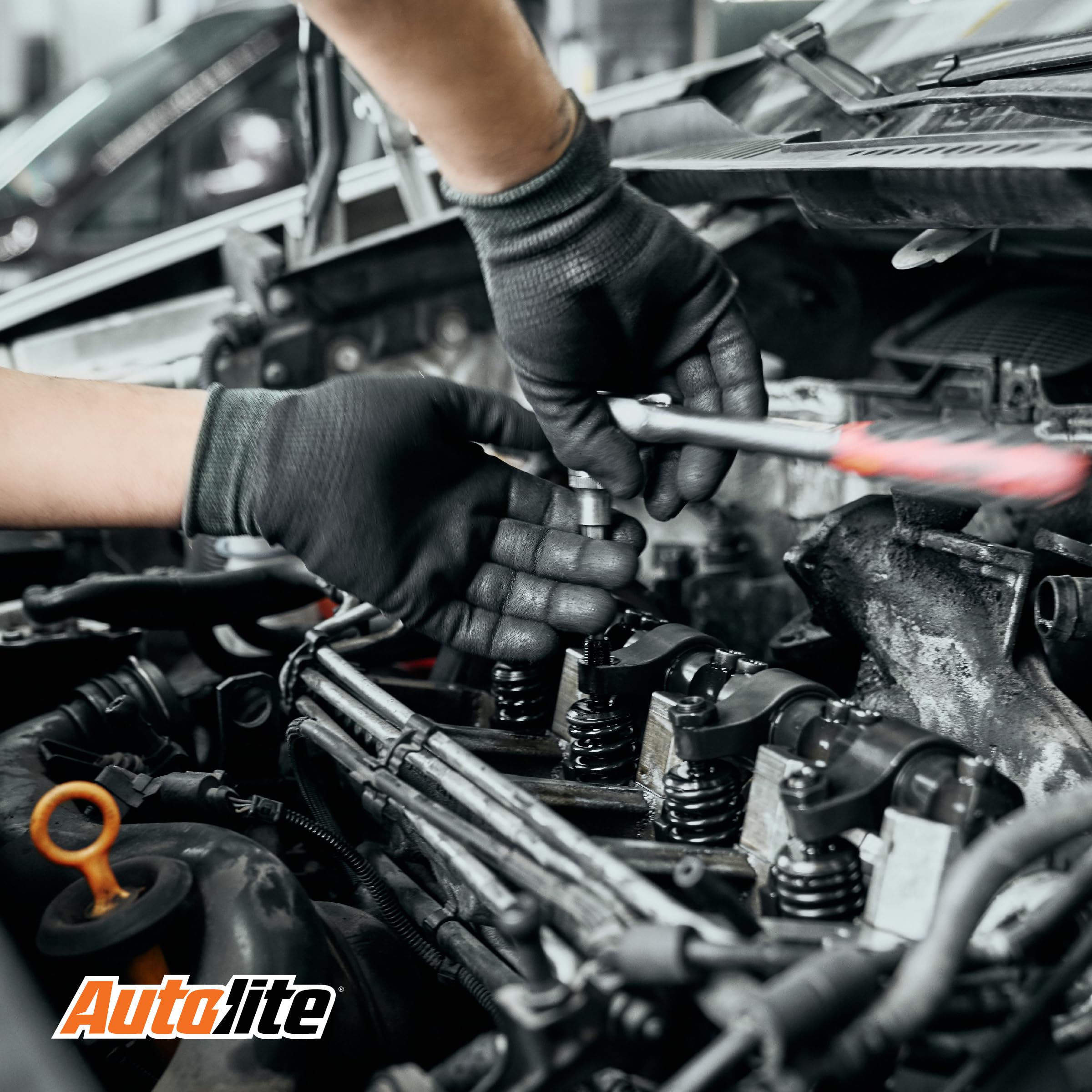 Autolite Iridium Xp Automotive Replacement Spark Plugs, Xp5224 (4 Pack)
