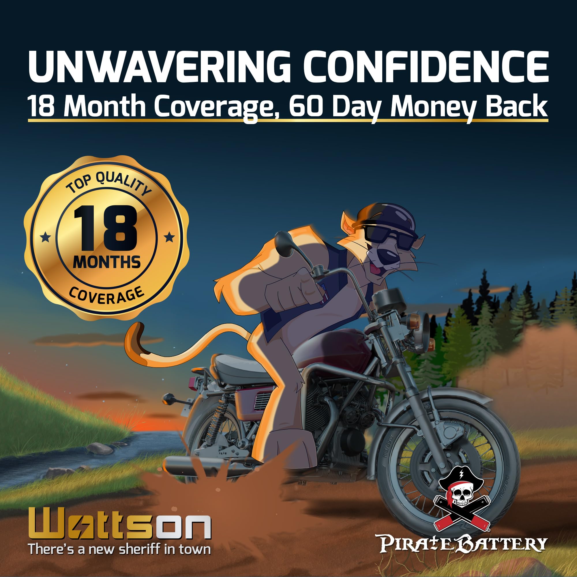 Pirate Battery Yt14B-Bs Maintenance-Free 12V 12Ah Battery Replacement For Atv, Motorcycle, Jet Skis, Scooter, Utv, And More - Nu