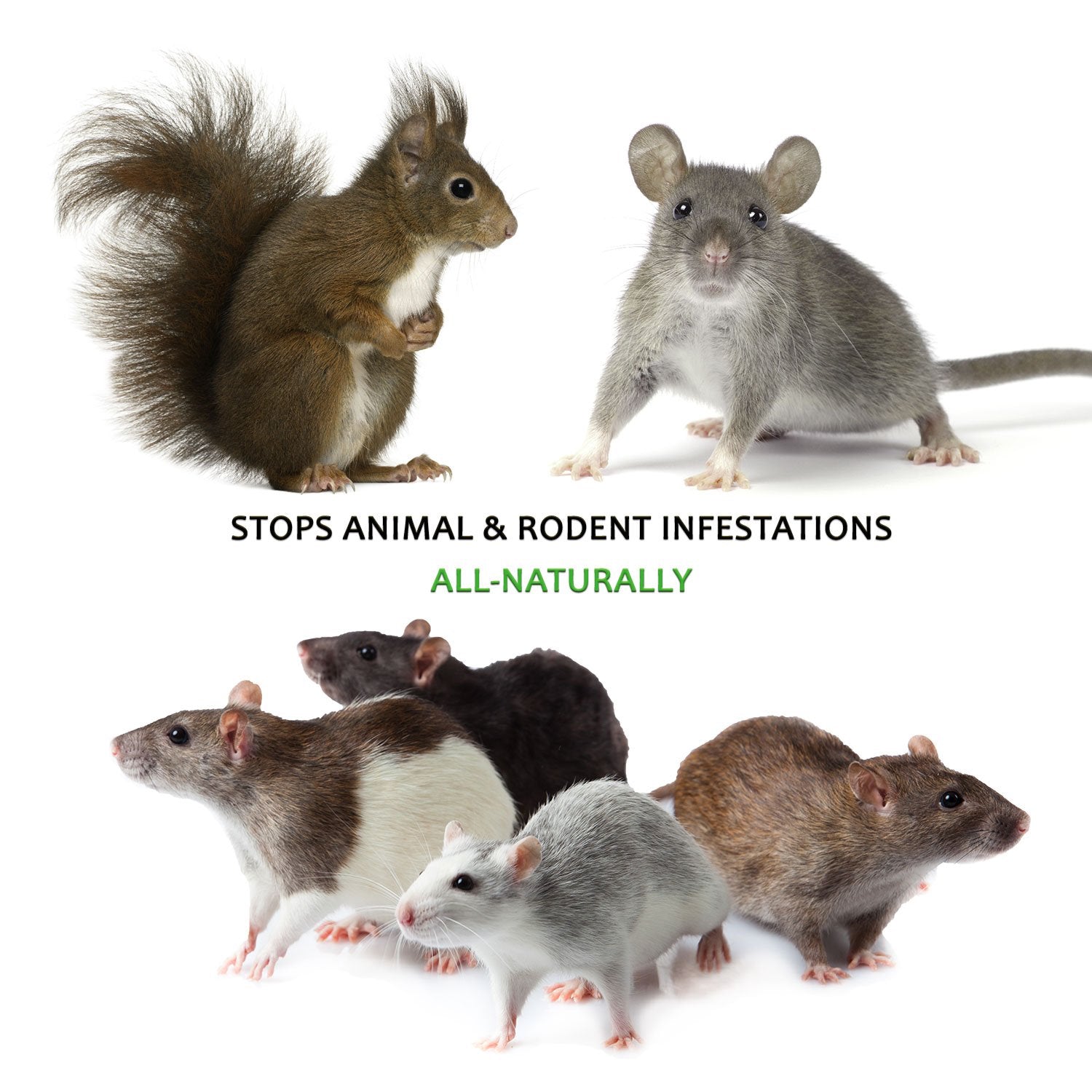 Natural Armor Rodent Protection Spray - 128 Fl Oz, Prevents Chewing & Nesting for Cars, Trucks, RVs, ATVs - Ready to Use