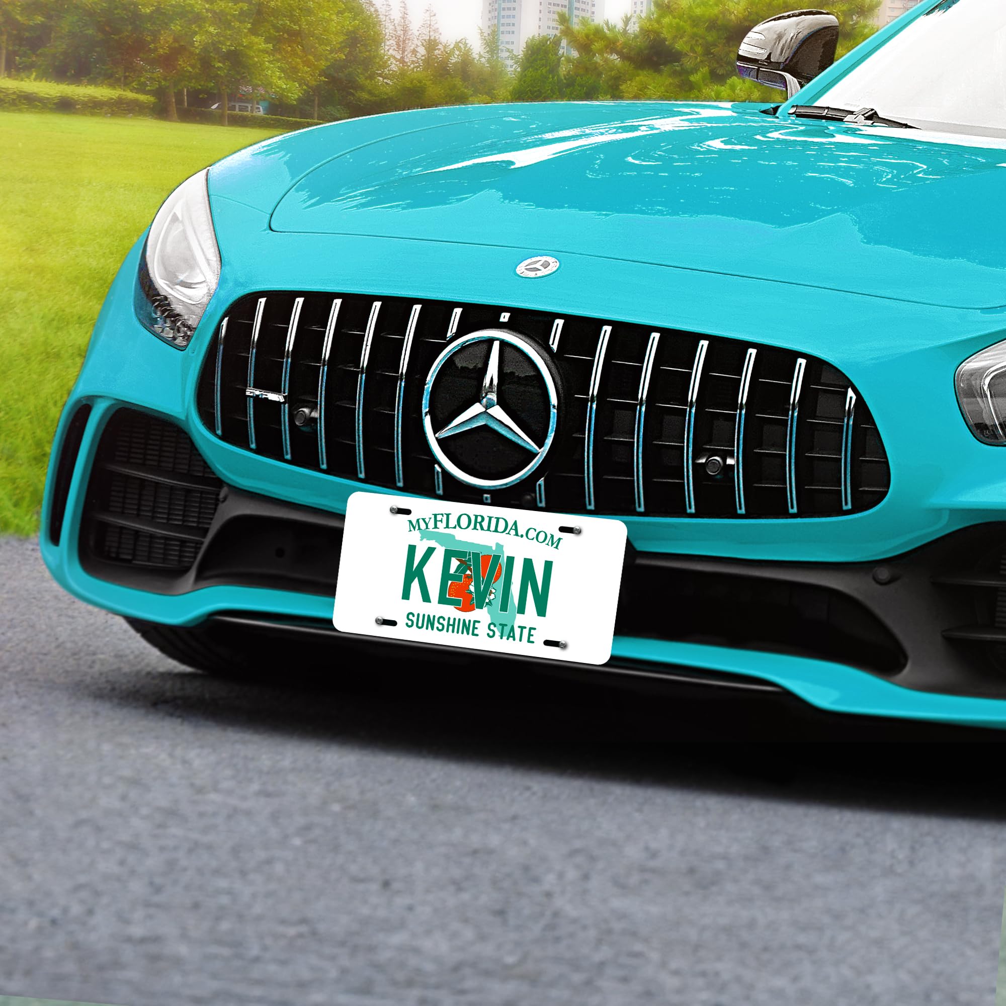 My Sign Center Custom Florida License Plate - Personalized 6x12 Inch Rust-Free Aluminum, USA Made