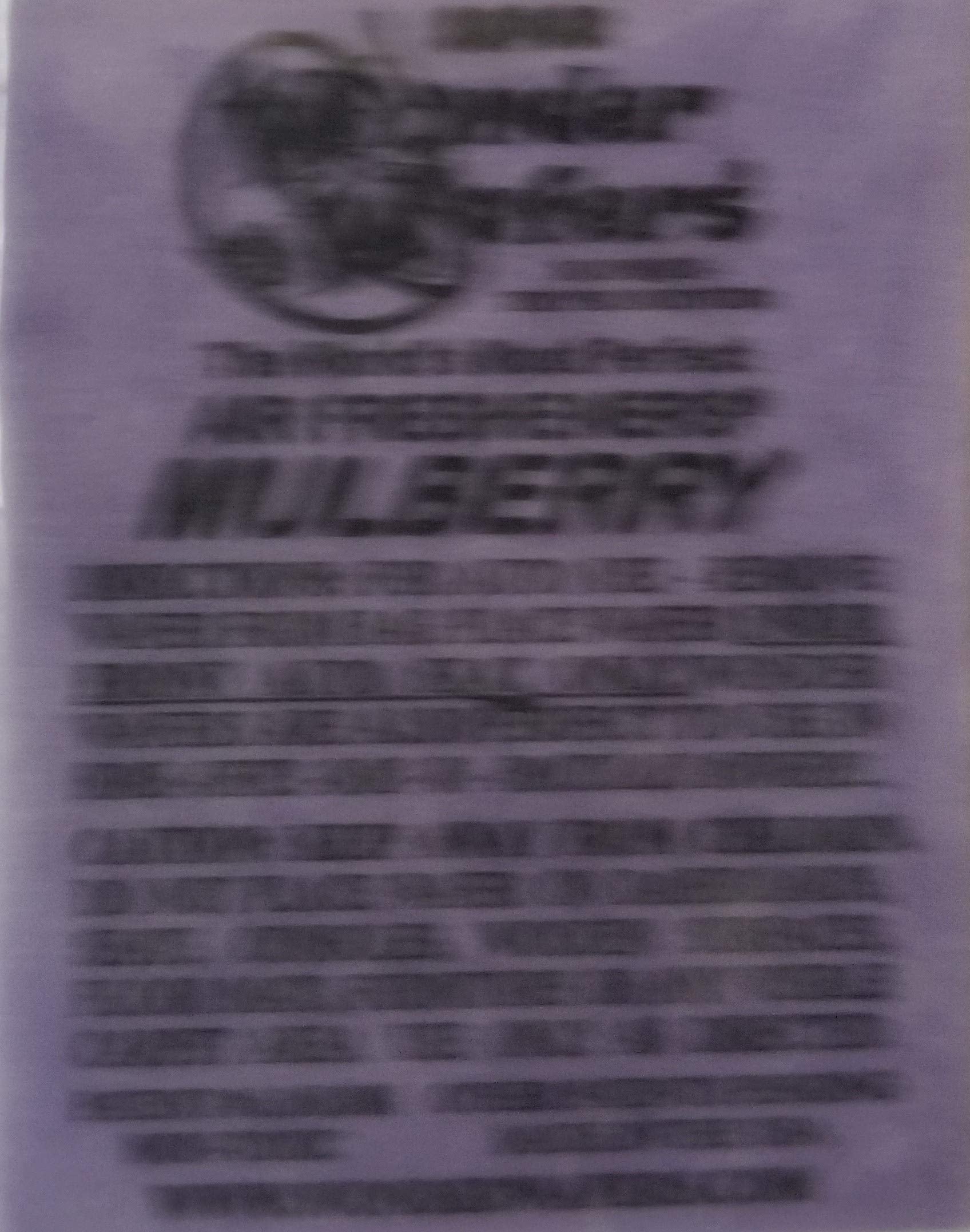Wonder Wafers 25 CT Individually Wrapped Mulberry Air Fresheners