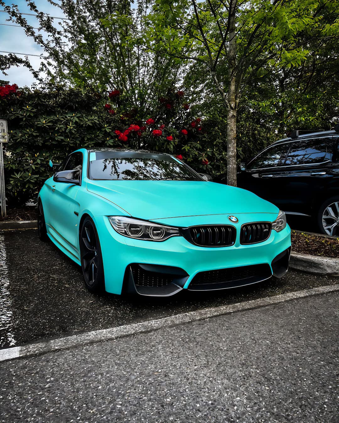 VViViD+ Premium Vinyl Wrap Film (1.49ft x 5ft, Matte Miami Teal)