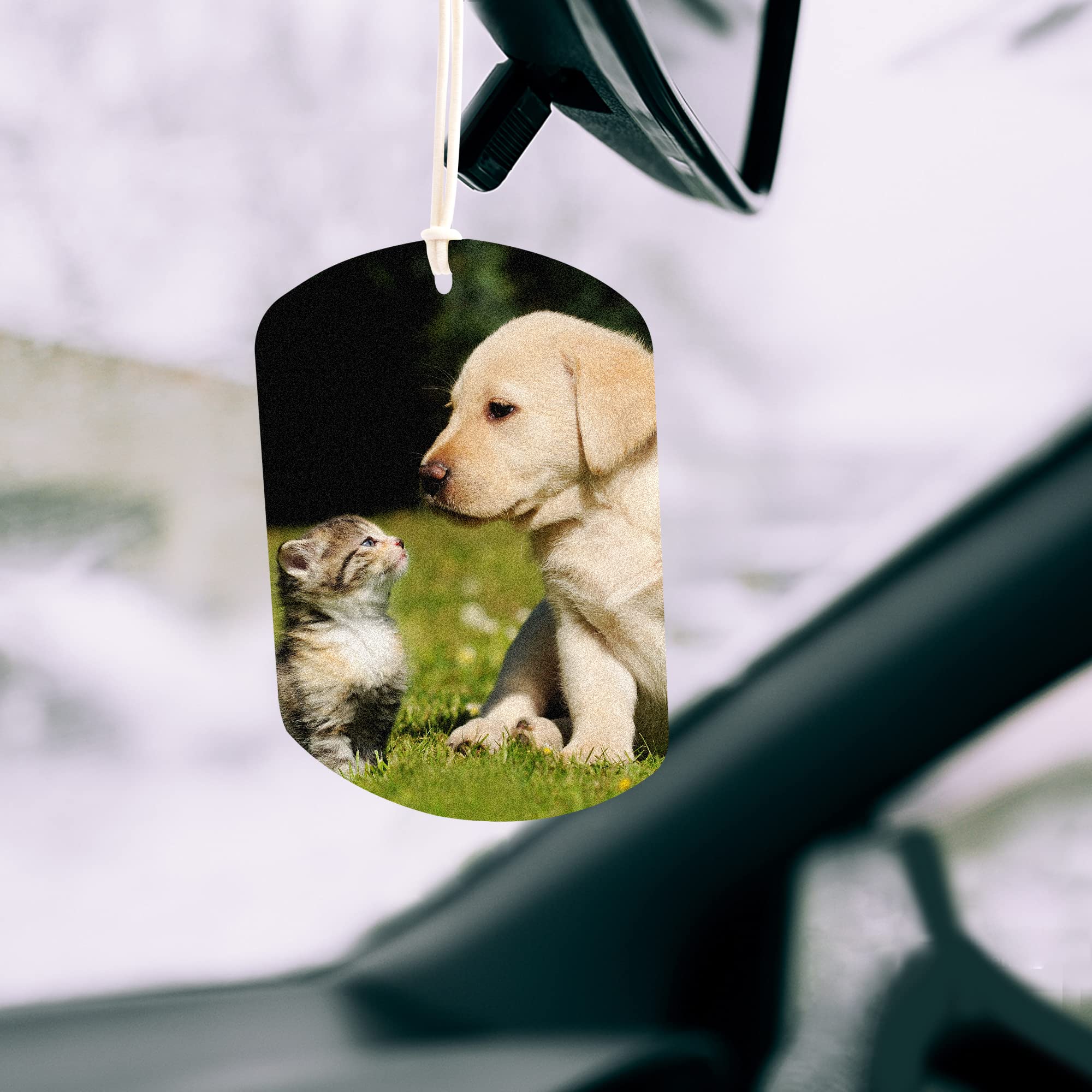 Temlum 40 Pcs Sublimation Blanks Products With Elastic Rope, Clear Bag, Sublimation Blanks For Air Freshener Car Home Hanging De
