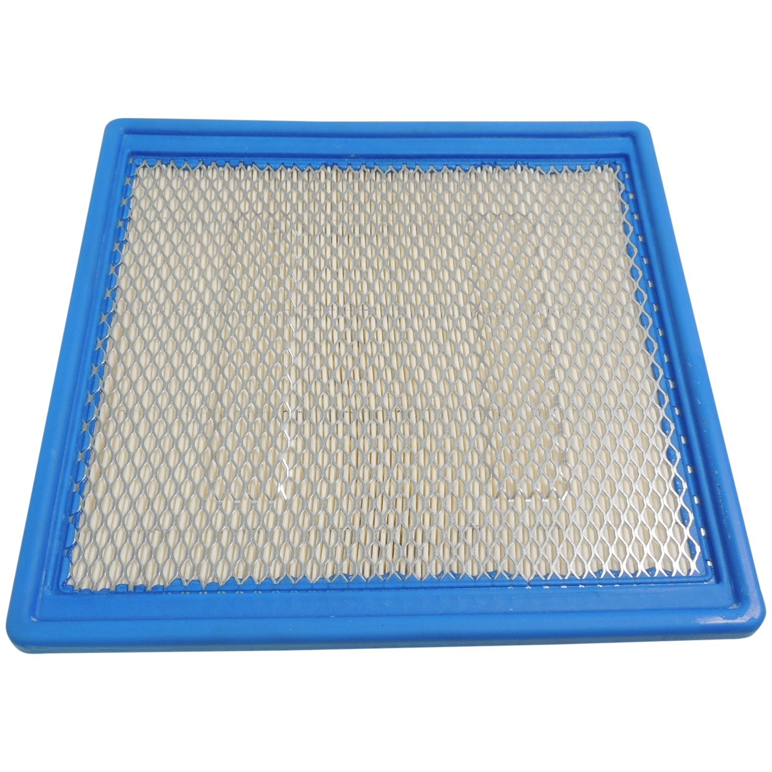 Acdelco Gm Original Equipment A3195C Air Filter