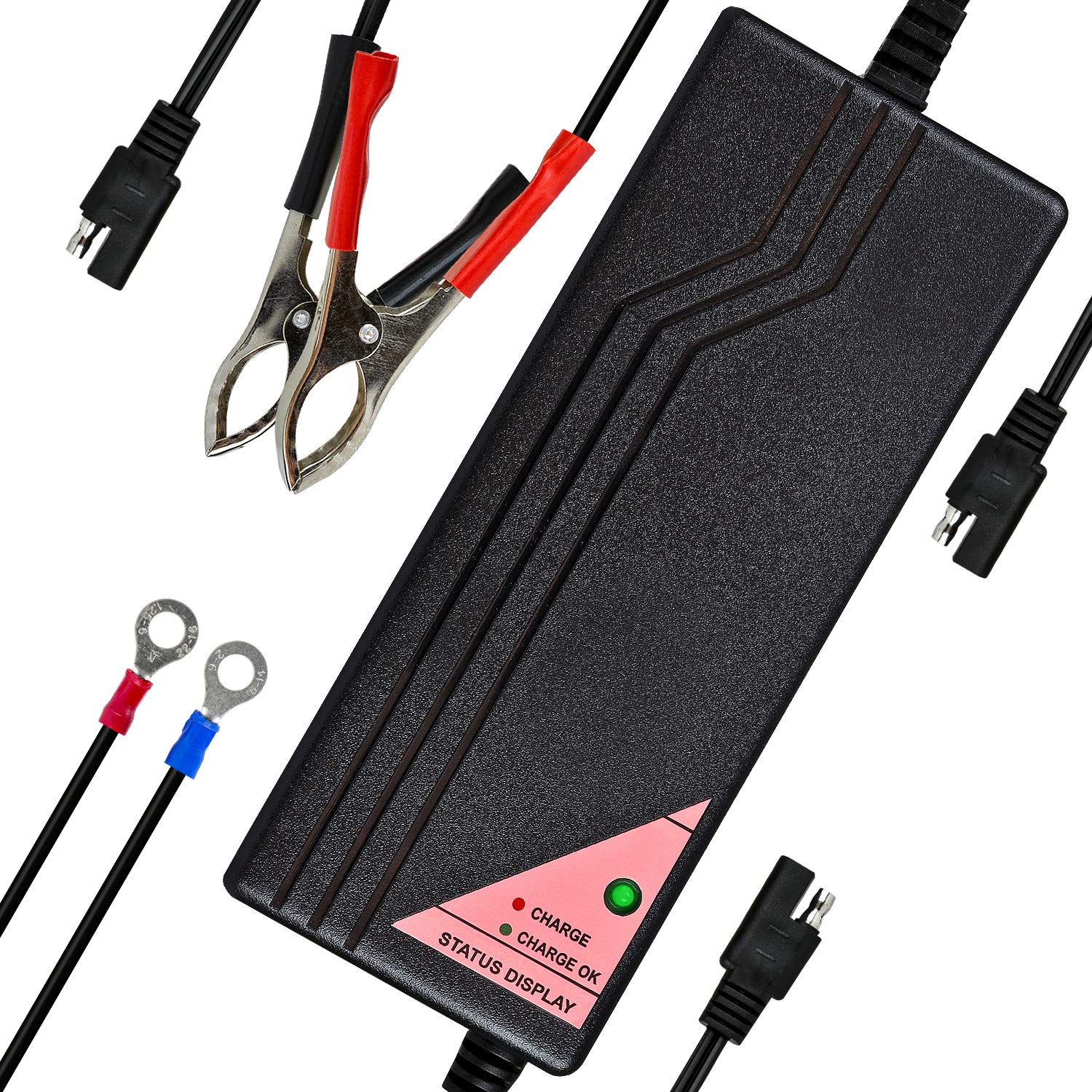 Expertpower 12V 5A Smart Charger For Lithium Lifepo4 Deep Cycle Rechargeable Batteries