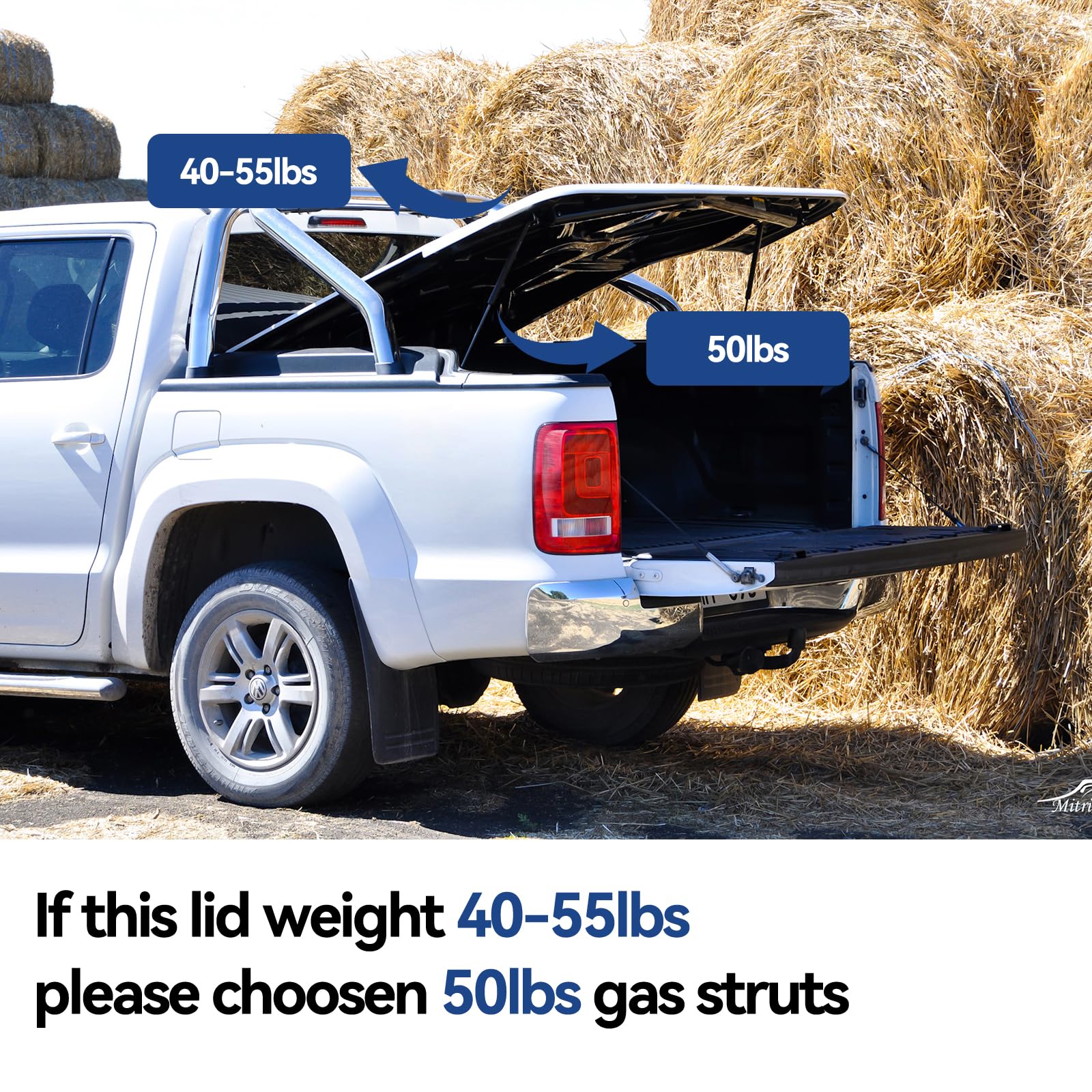 Arana 28 Inch Gas Strut, Ml2750 Signature Series Gas Spring 28 Inch 50Lb Gas Shock Spring For Truck Tonneau Cover Boat Engine Ha