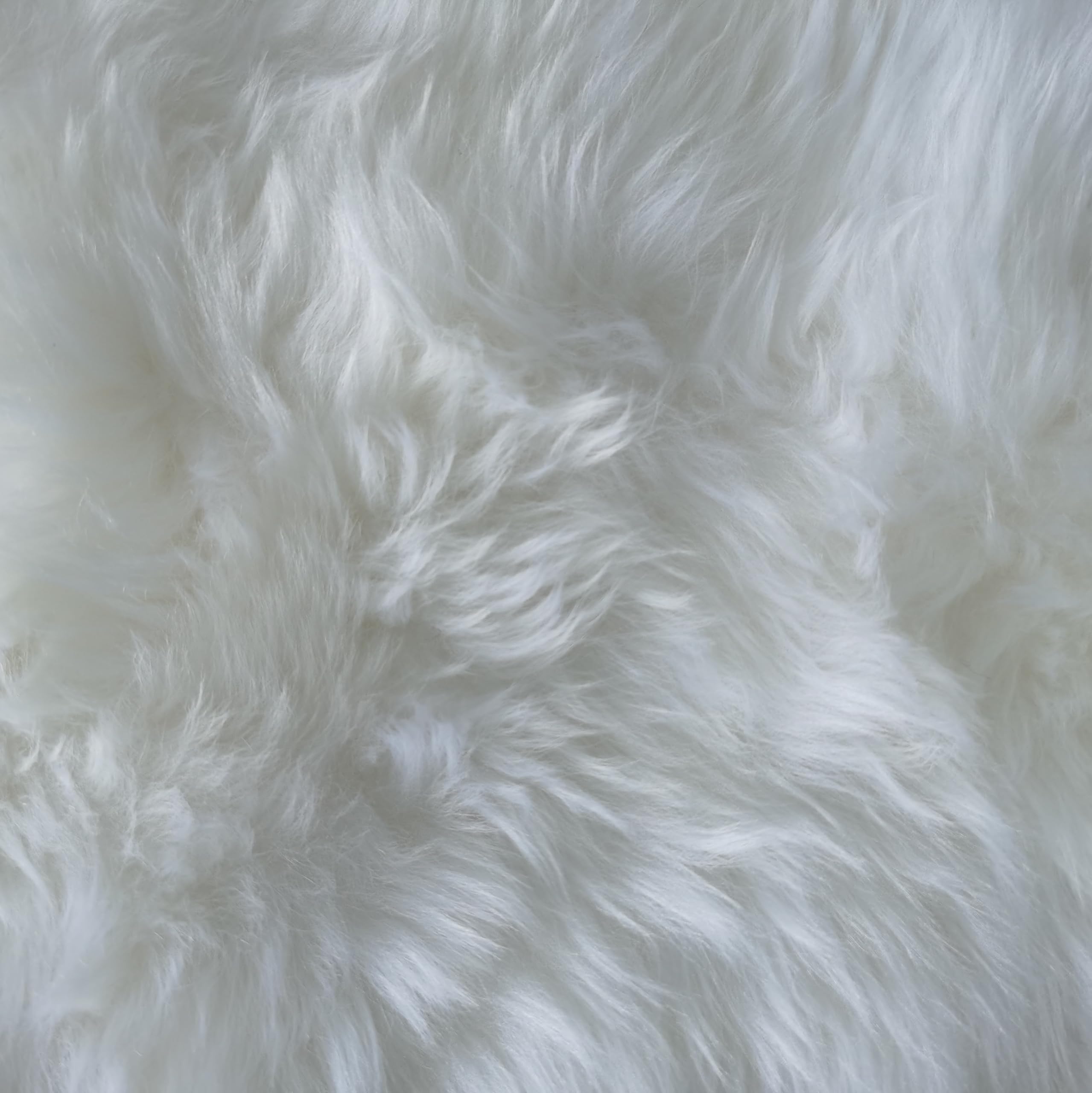 Gracefur Genuine Australia Sheepskin Car Seat Cover Luxury Long Wool Front Seat Covers Fits Most Car, Truck, Suv, Or Van 1 Piece