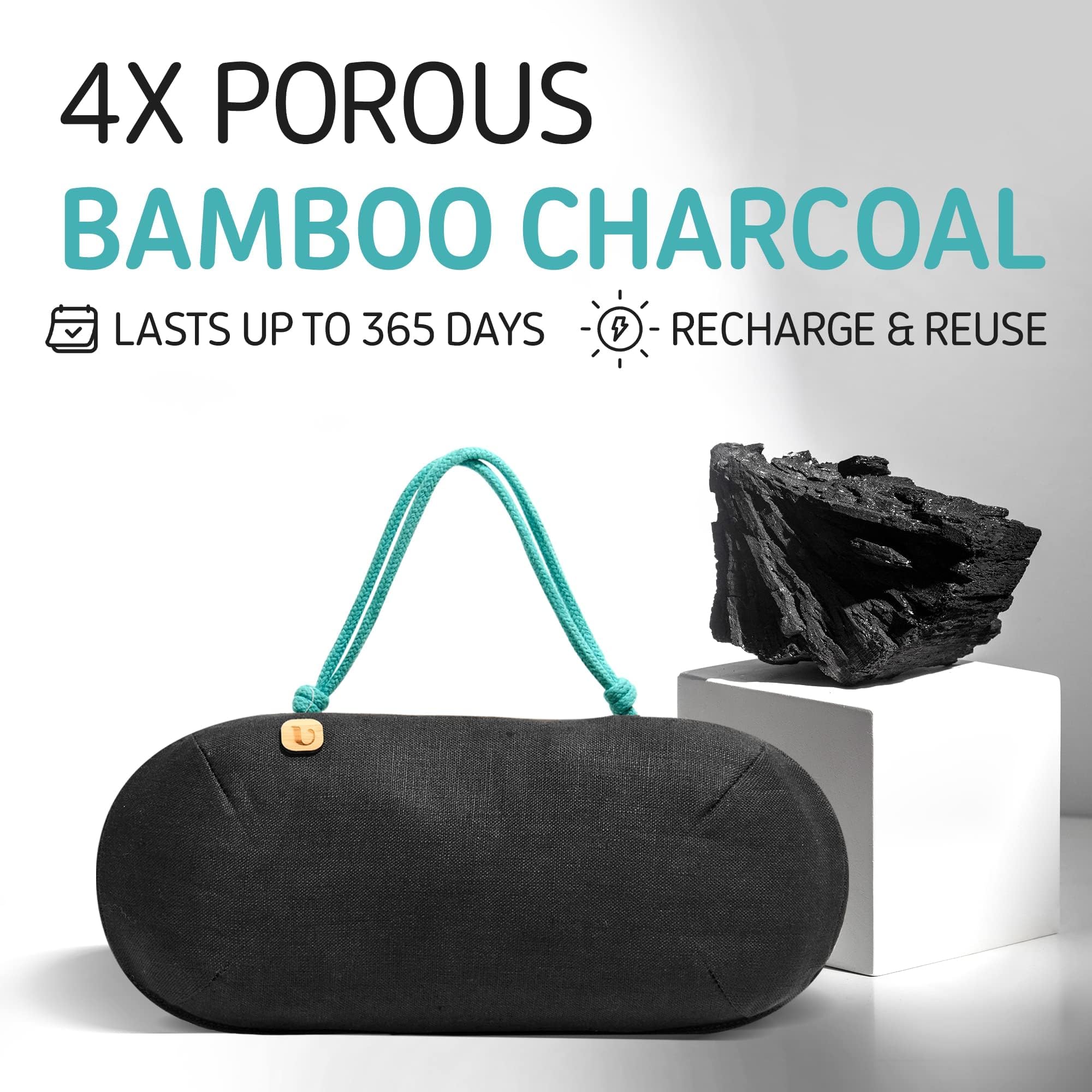 Purggo Car Air Freshener - Lasts 365+ Days - No Chemicals - 100% Activated Bamboo Charcoal - No Fragrance Deodorizer, Auto Odor